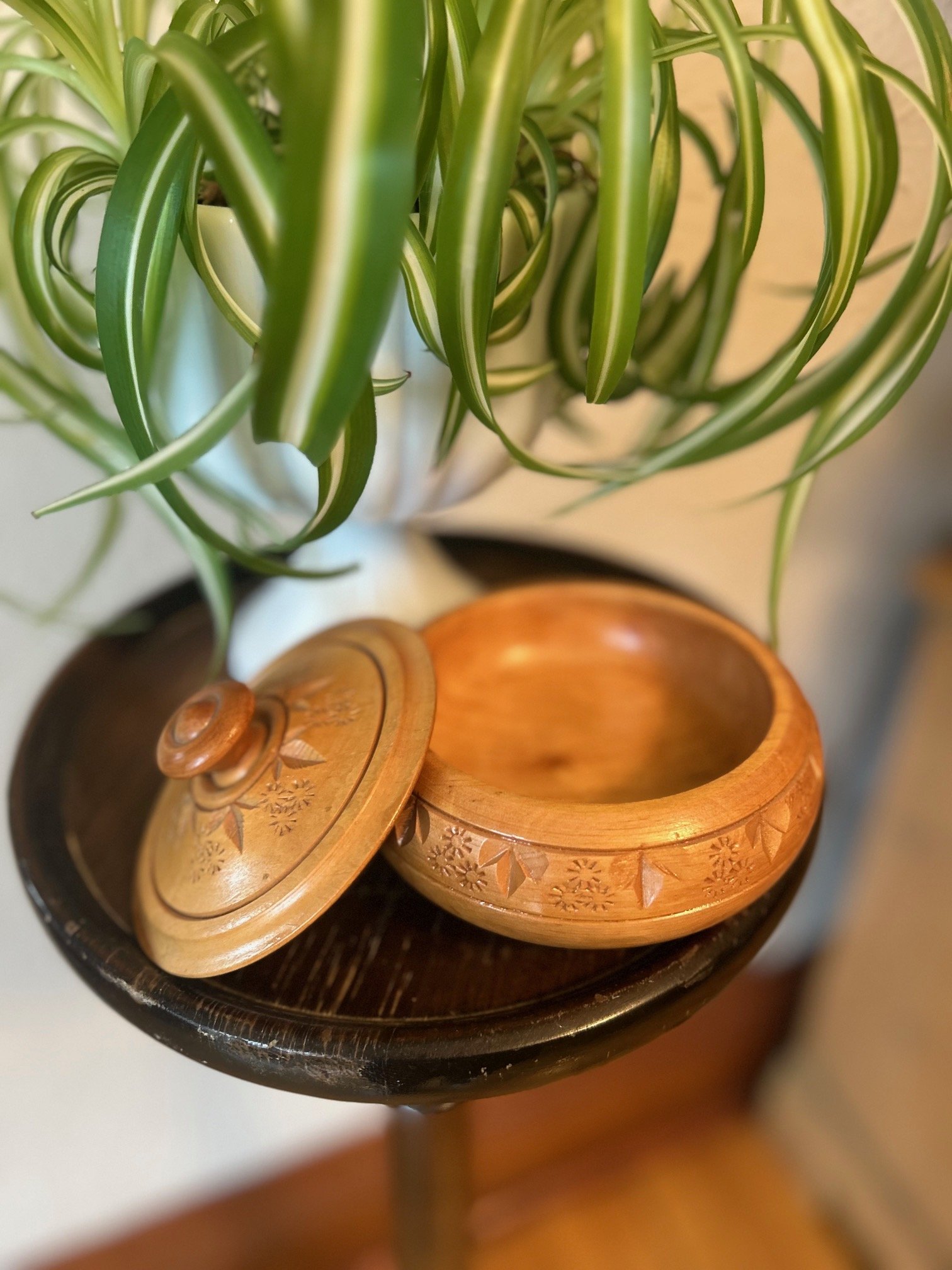 image3 (12).jpeg