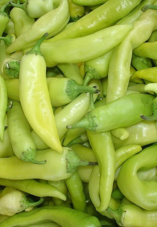 Magyar Yellow Wax Sweet Pepper