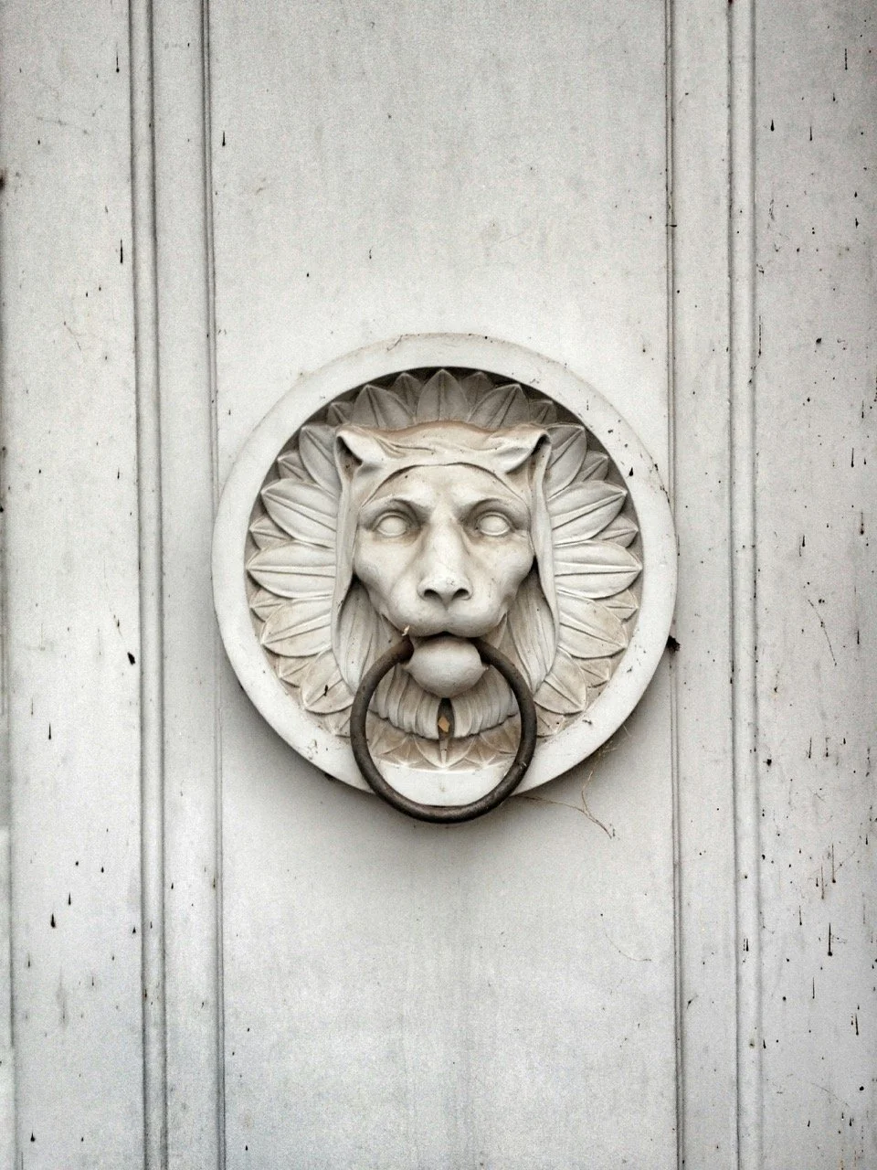 christian-paul-stobbe-Xve41uy745M-unsplash - dimensioni grandi.jpeg