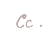 The curl care studio