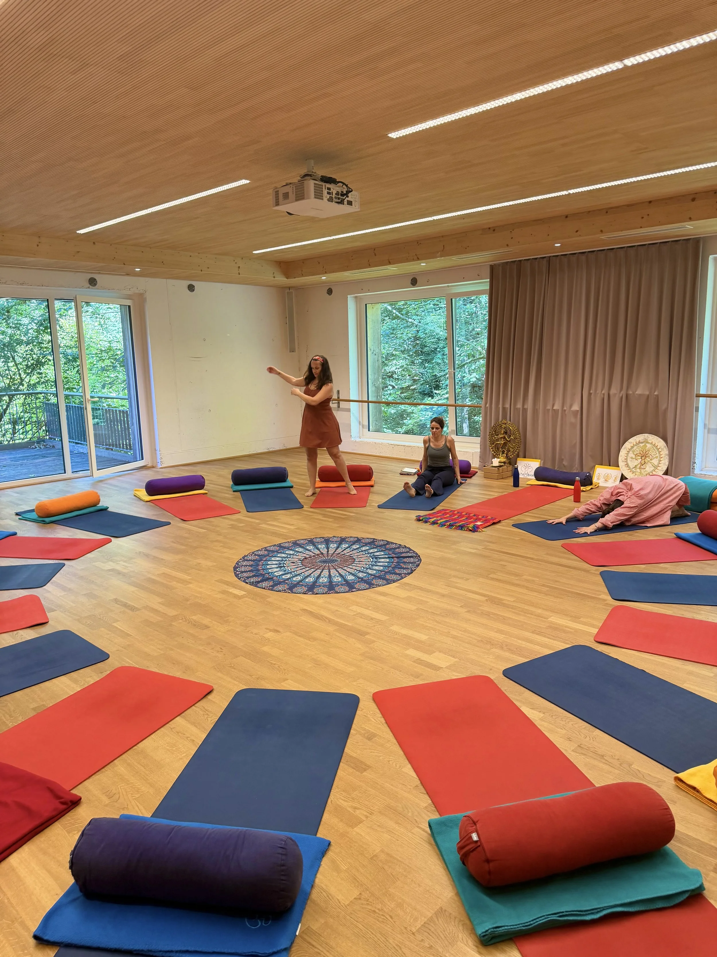 MAGIC RIDE Summer Intensive 2027, August 7-15 2027, Zurich Switzerland [IN-PERSON + ONLINE]