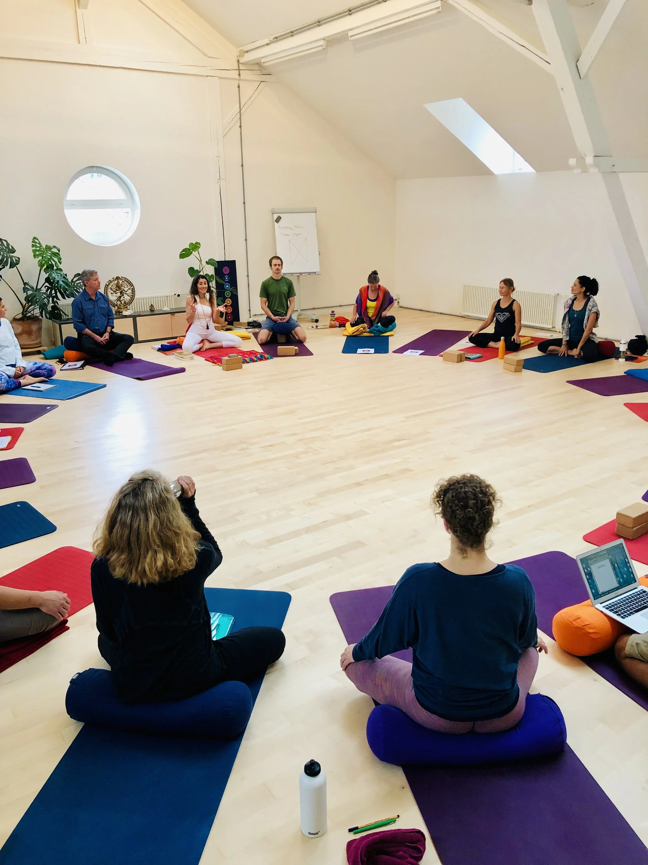 STAMBHA Yoga School: +300-Hour Advanced Yoga Teacher Training 2028, January 21 - September 10, 2028, Zurich Switzerland [IN-PERSON + ONLINE]