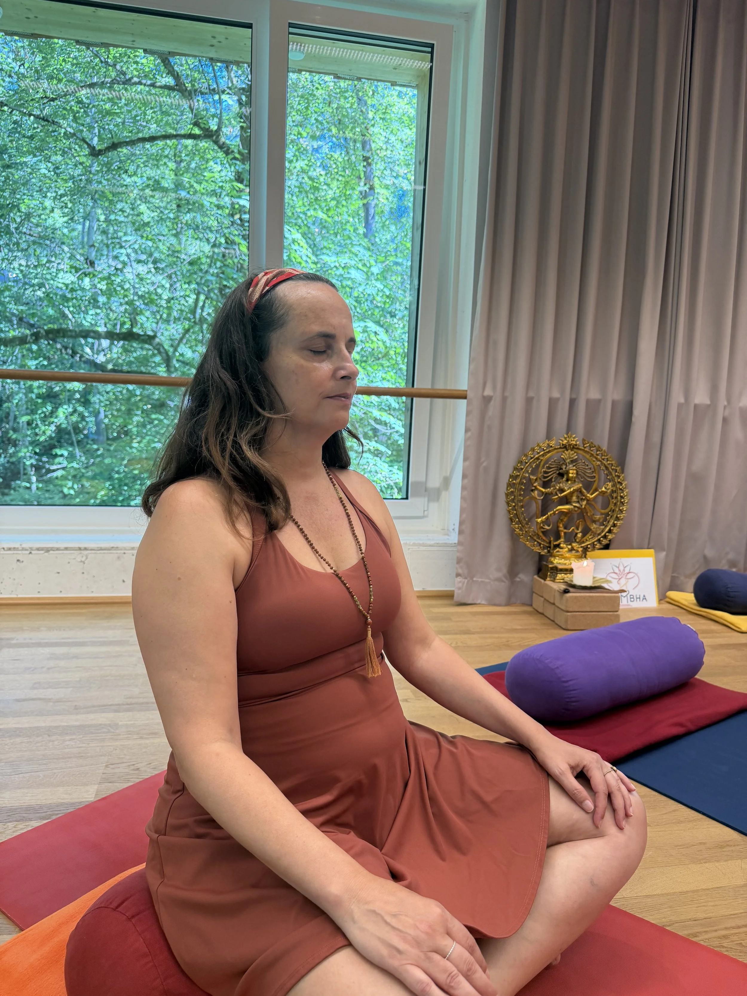 Neelakantha Meditation Intensive Retreat Fall-Winter 2026, December 4-6 2026, Zurich Switzerland [IN-PERSON + ONLINE]