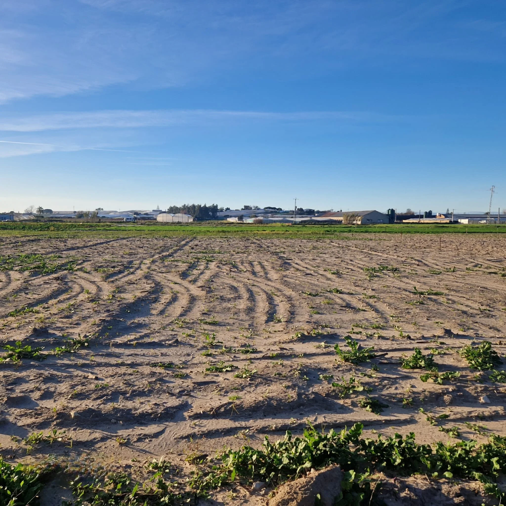 Foto nuevas parcelas camino de la nave 3.jpeg