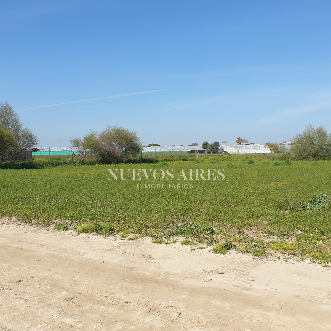 3 Parcelas Camino Alcornocal.png