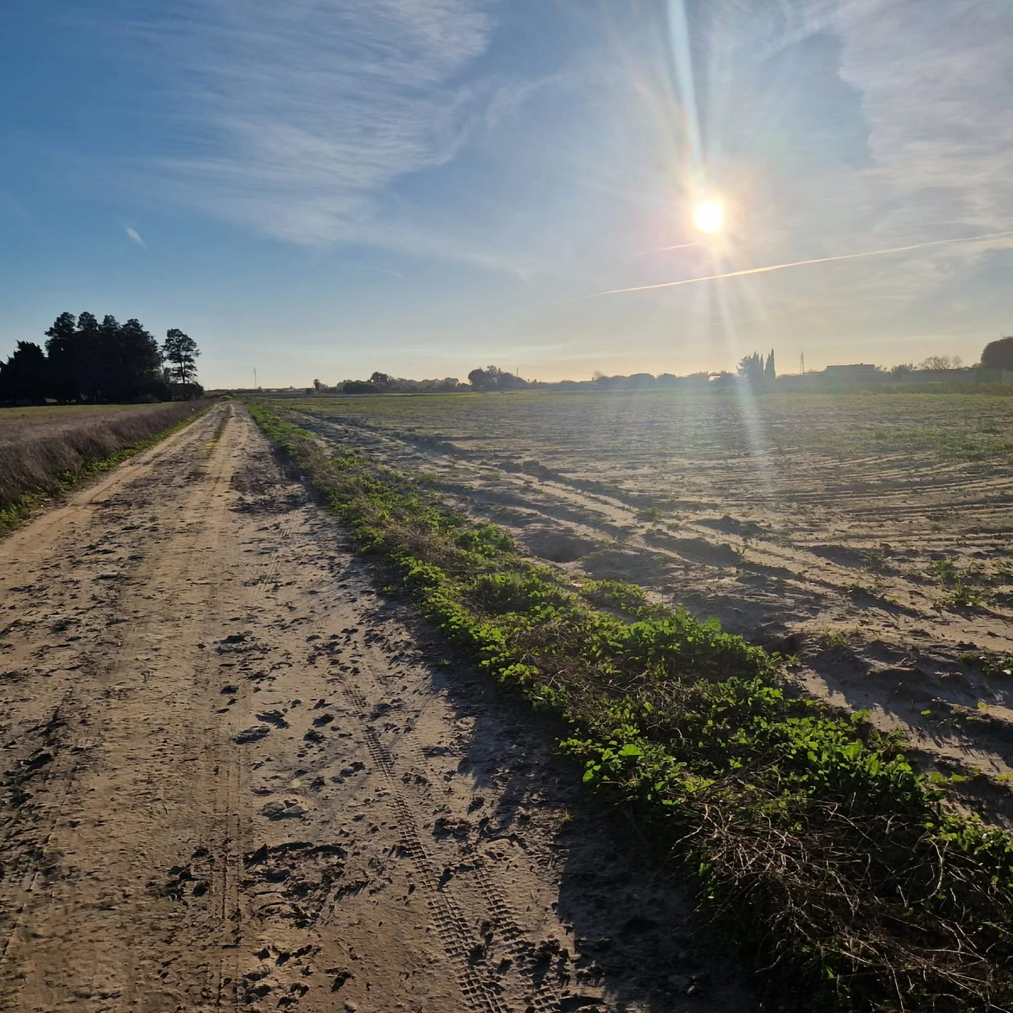 Foto nuevas parcelas camino de la nave 2.jpeg