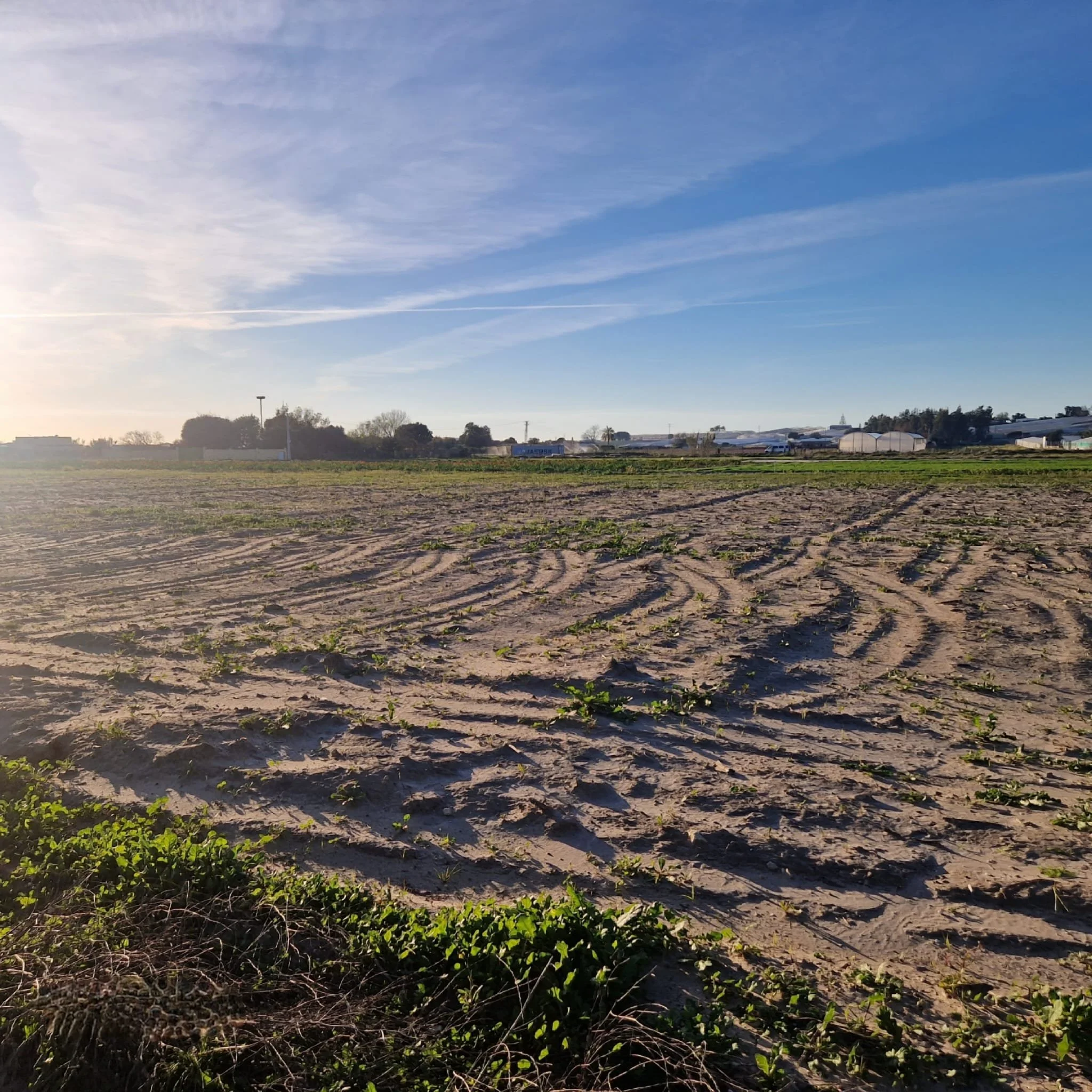 Foto nuevas parcelas camino de la nave 1.jpeg