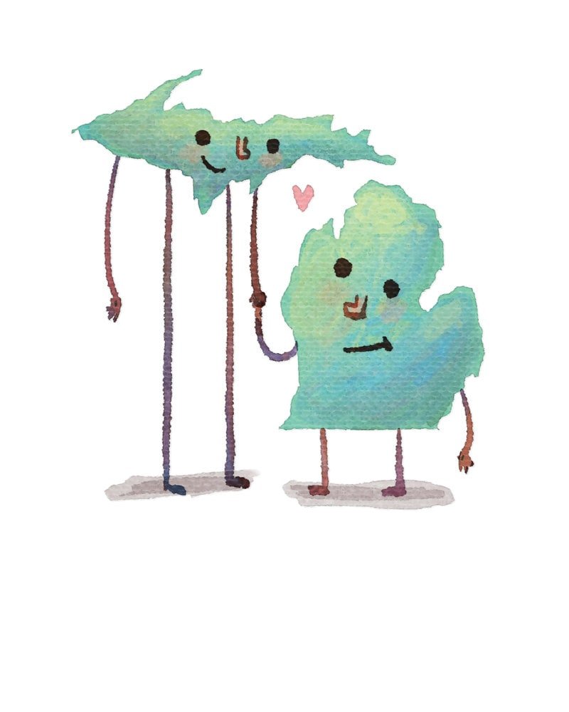 https://i.etsystatic.com/6118326/r/il/89789a/1146553393/il_fullxfull.1146553393_qae2.jpg