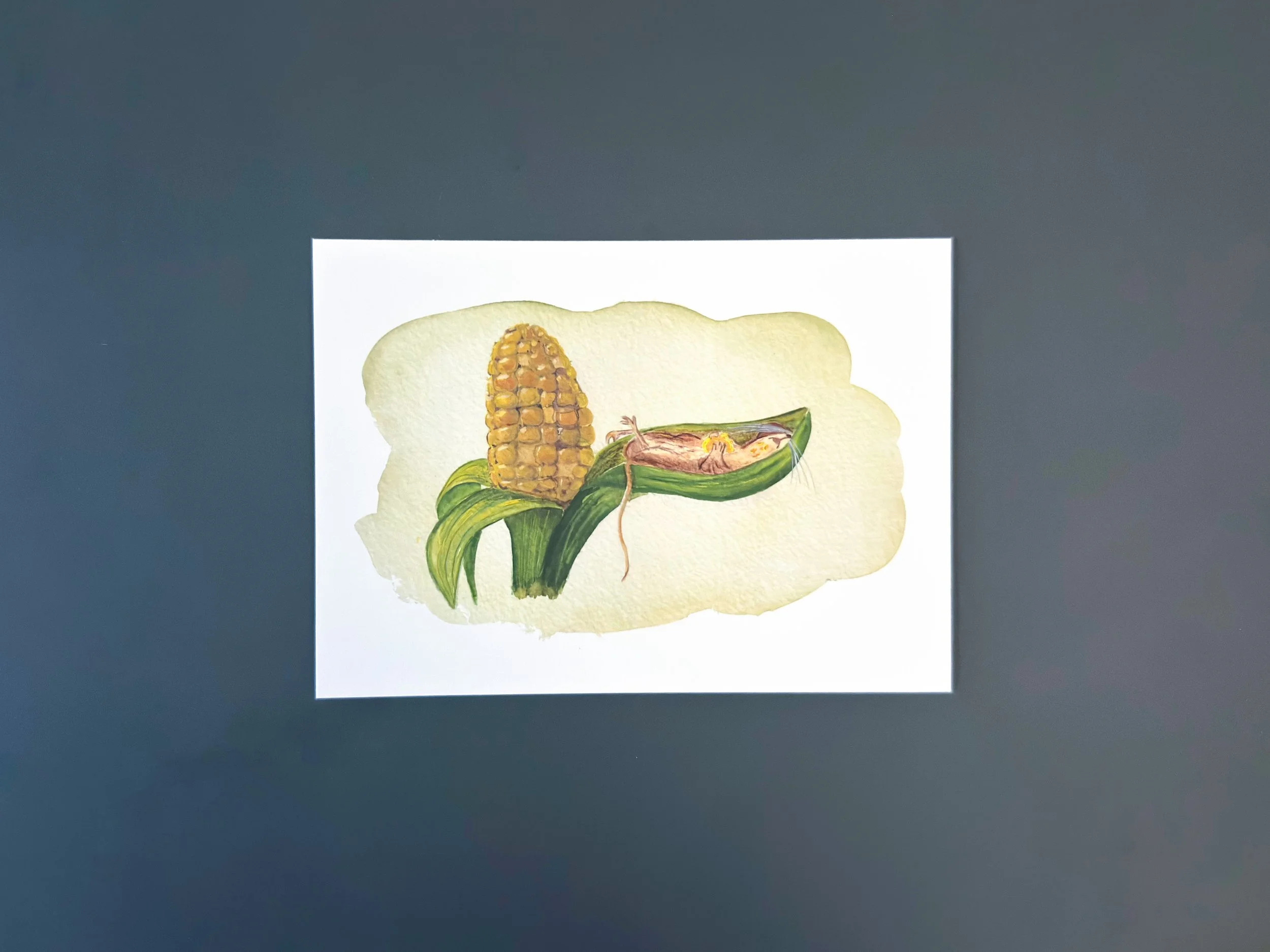 sweetcorn.jpg
