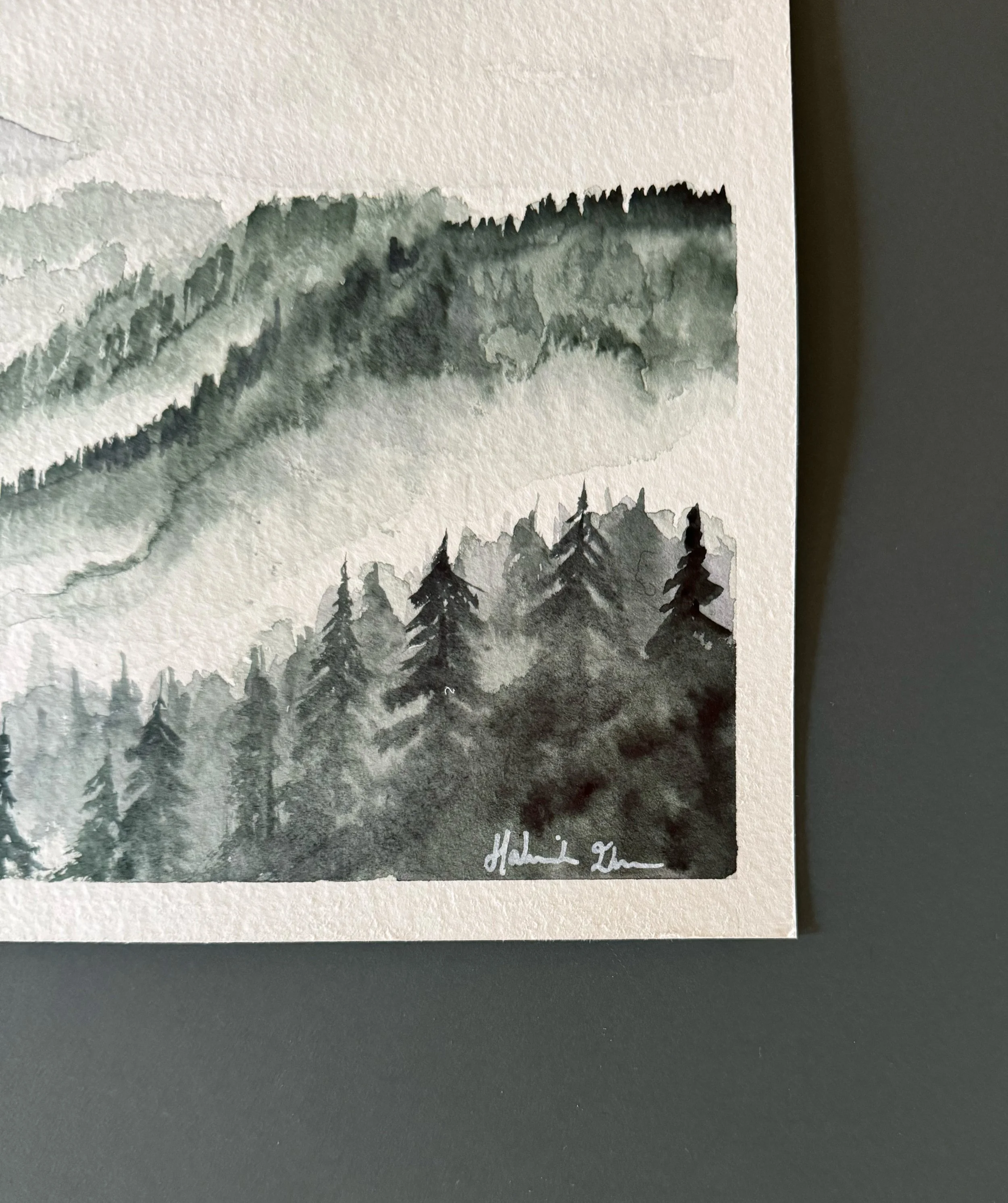 through the forest.1.jpg
