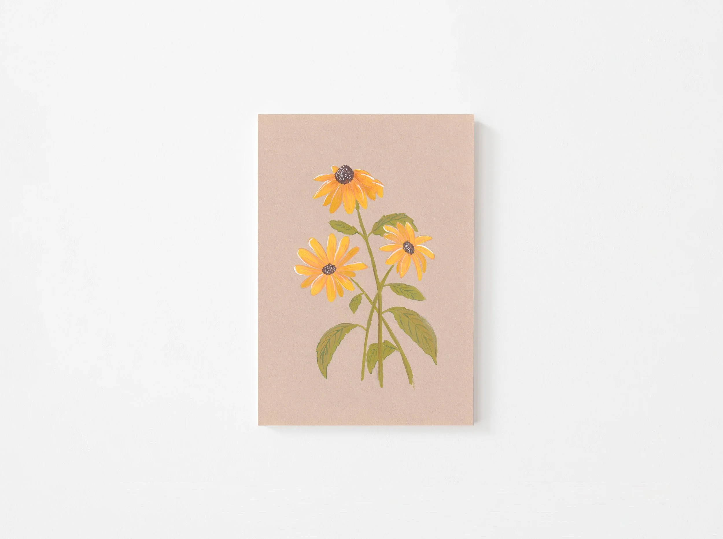Black Eyed Susan