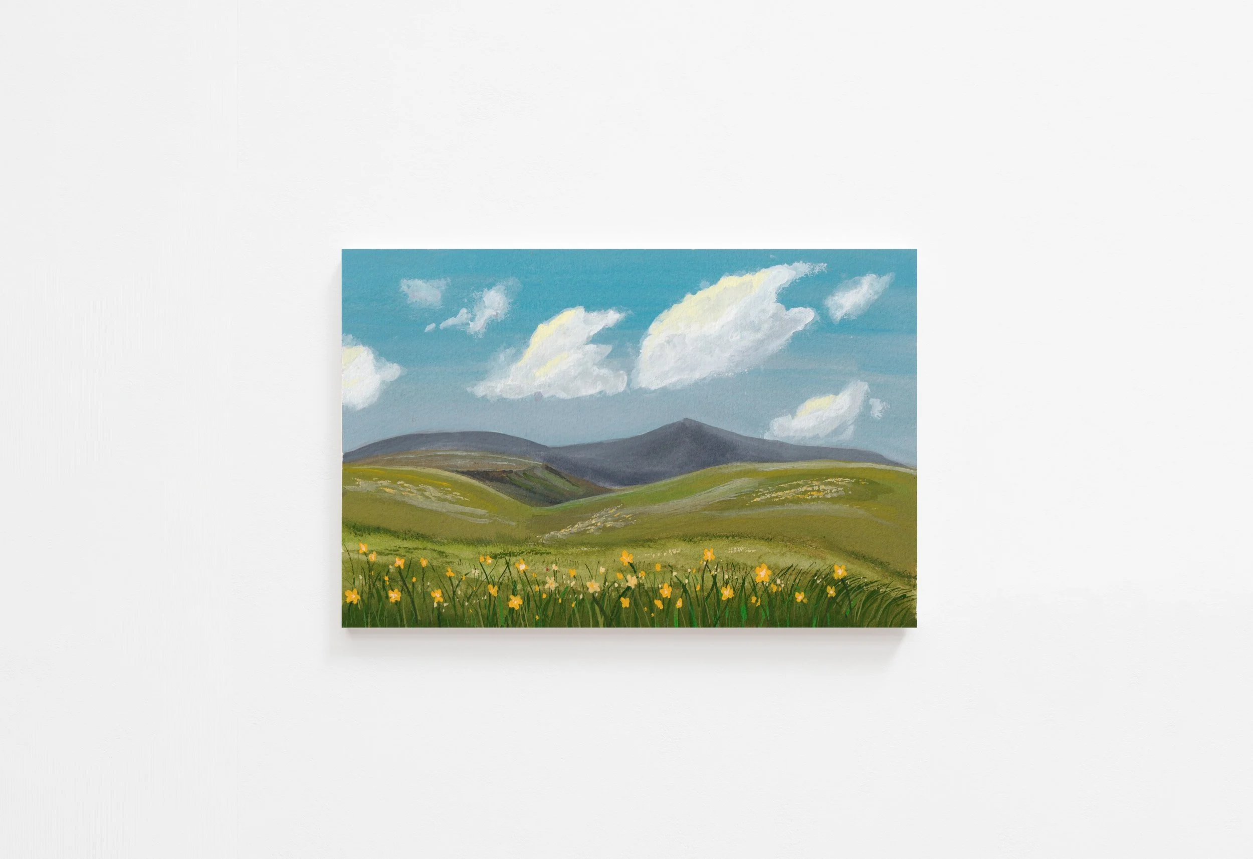 Wildflower Hike