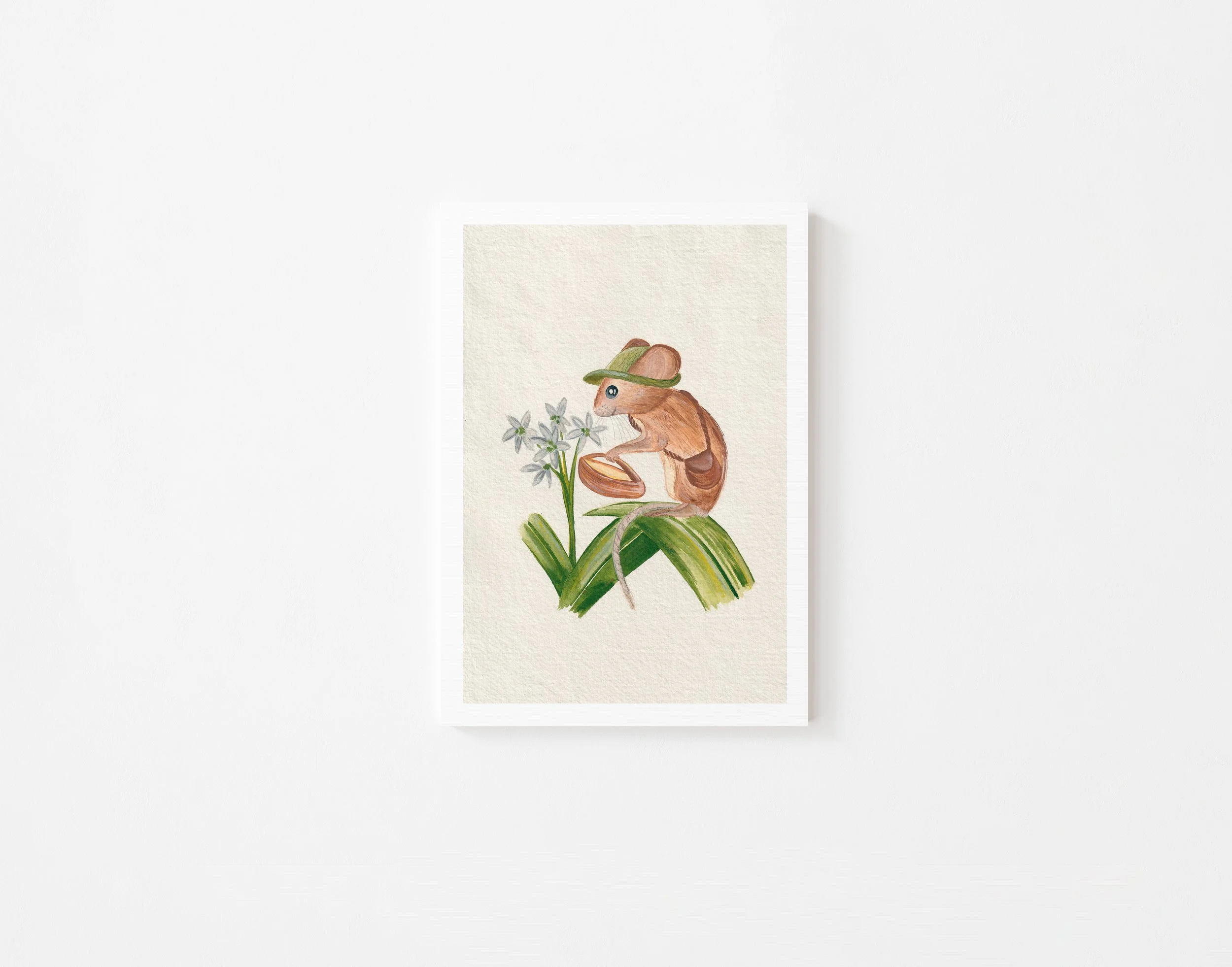 In search of Wild Garlic
