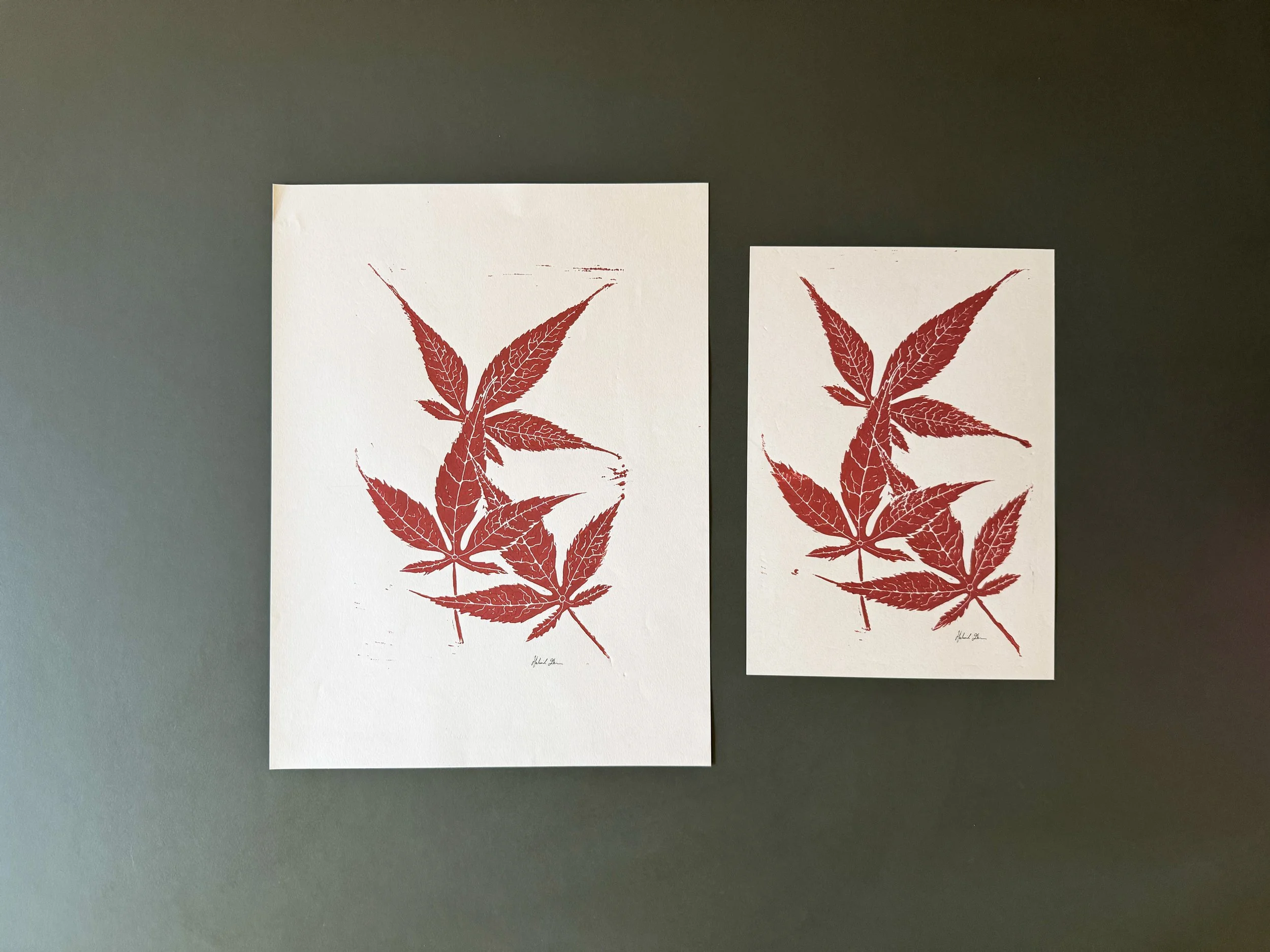 acer leaf 2 side_.jpg