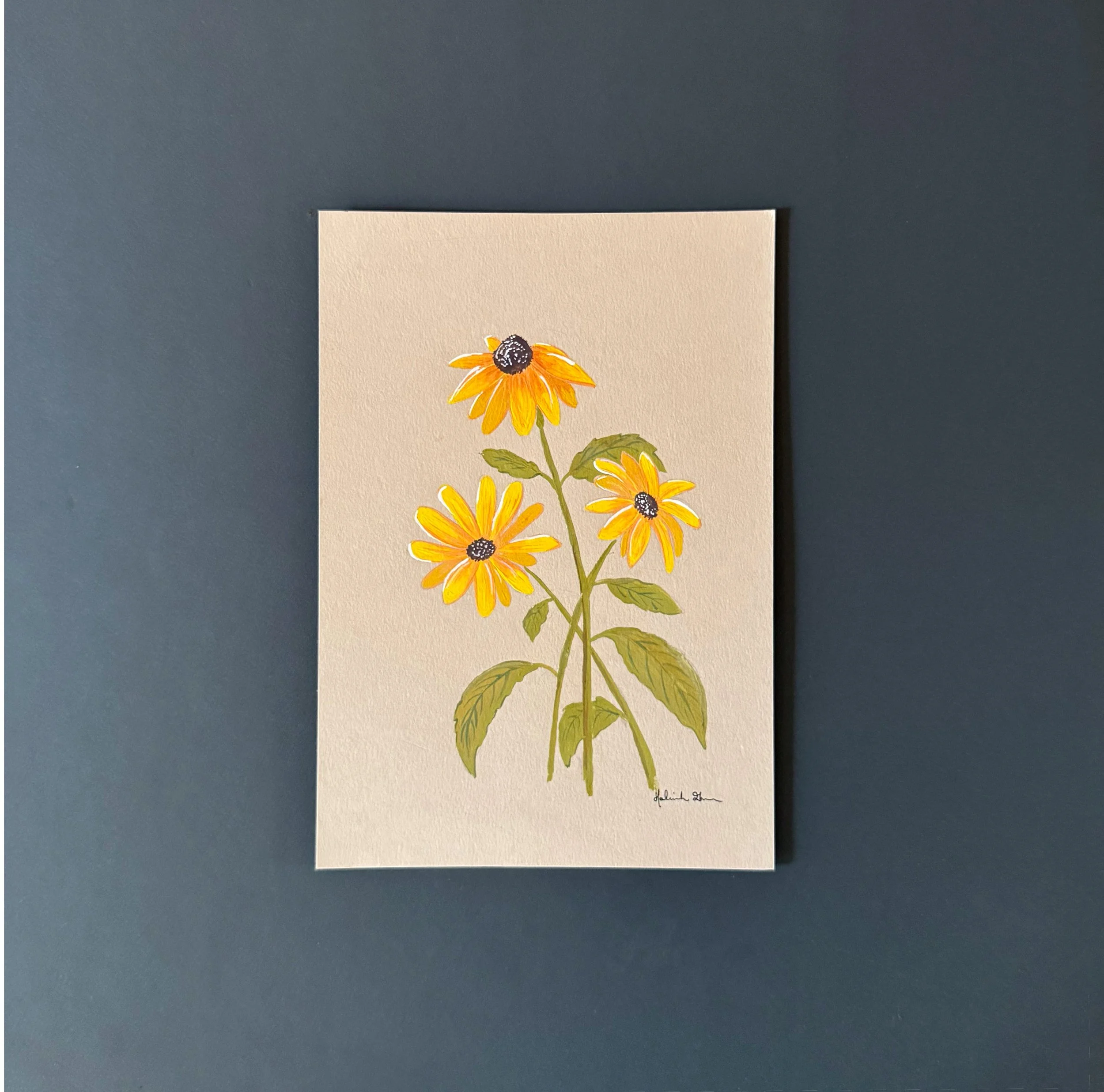 Black Eyed Susan