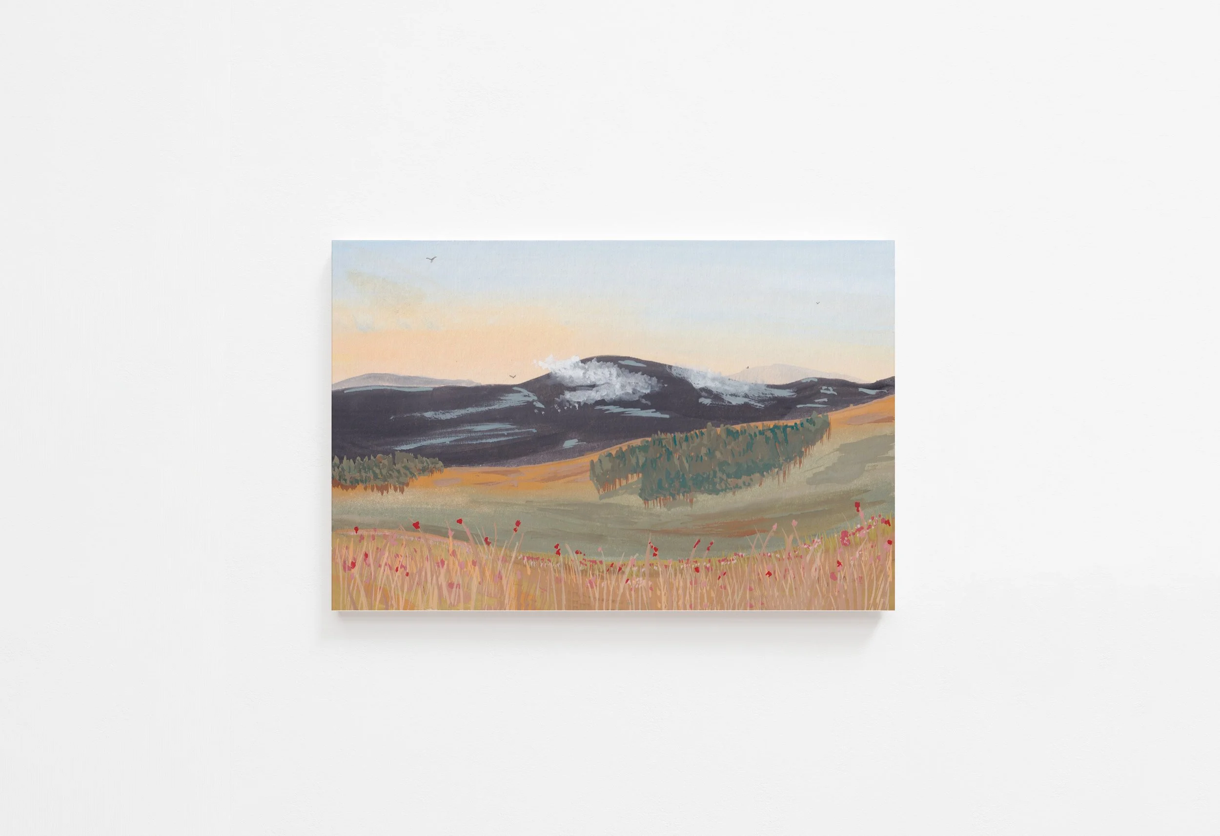 Wildflower Meadow Fantasy