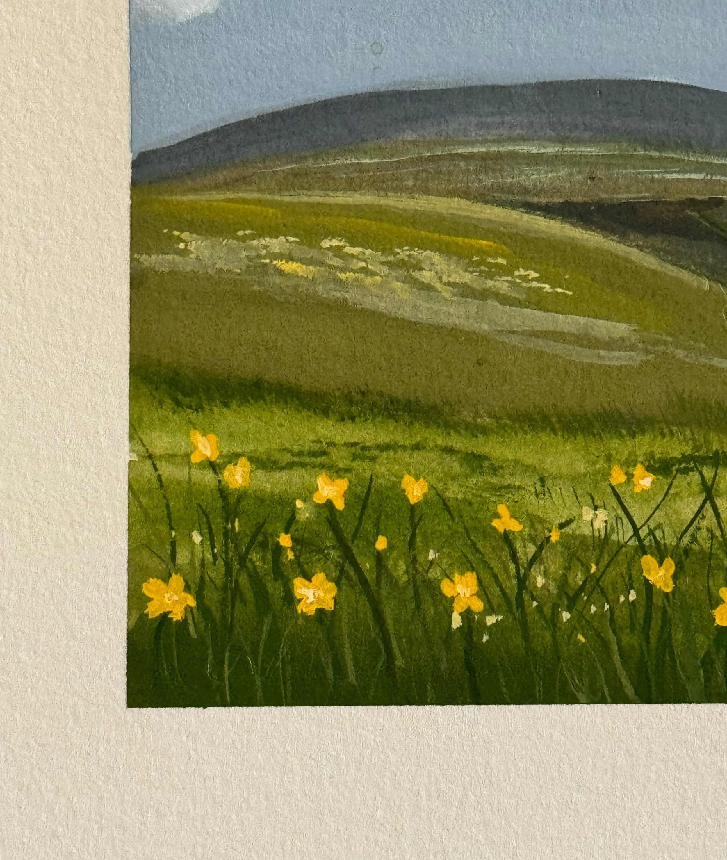 wildflower walk.4.jpg