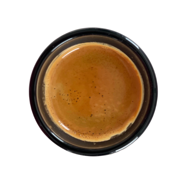 Untitled design-9.png