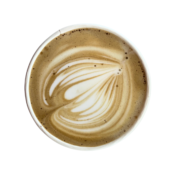 Untitled design-28.png