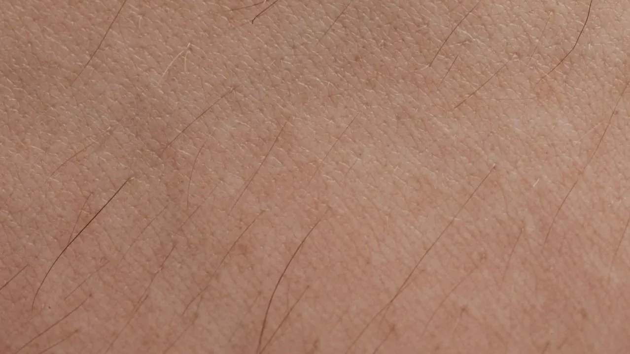 Close-up of natural body hair growth