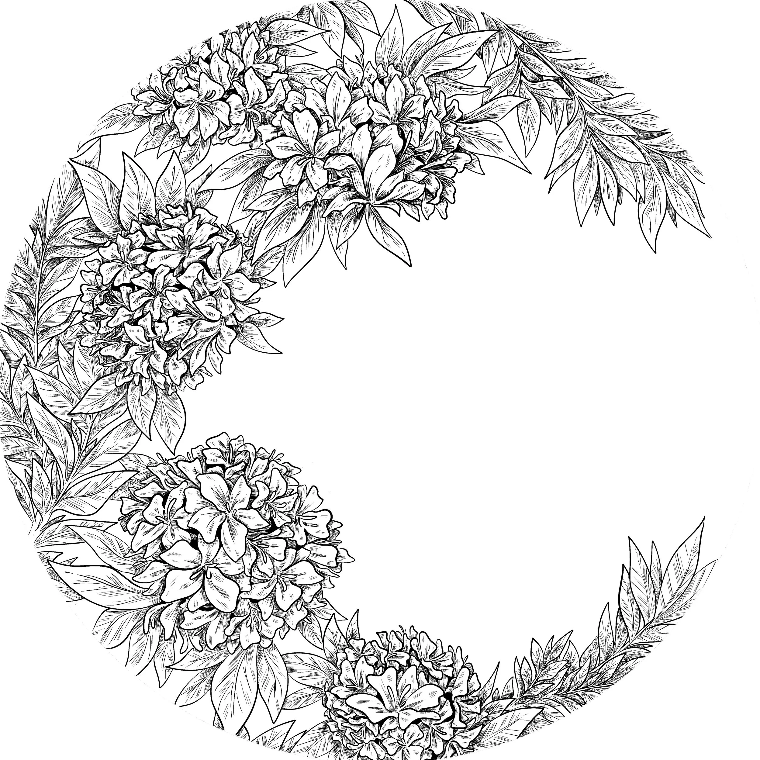 Untitled_Artwork (2).JPG