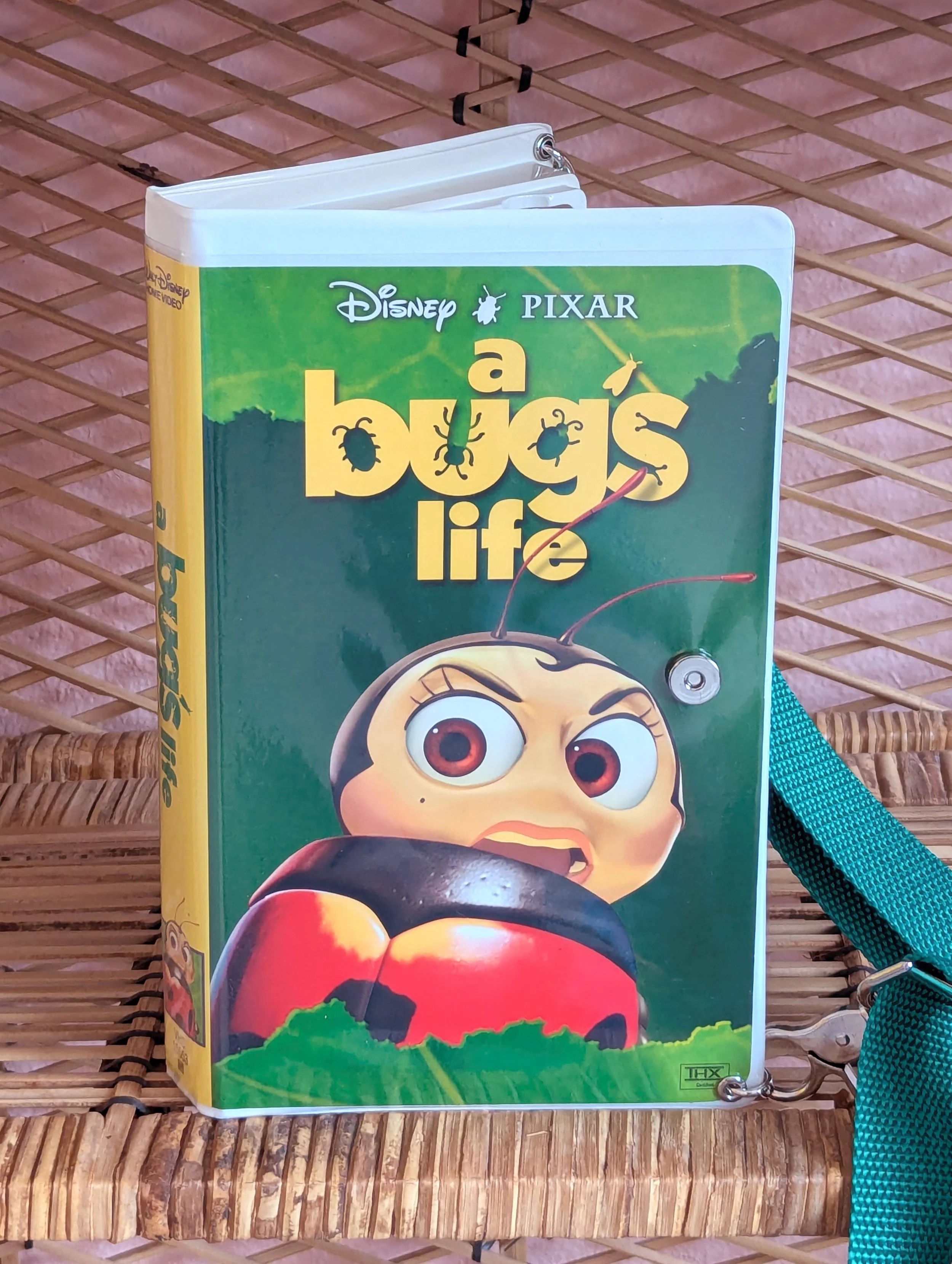 PXL_20251118_170506593 copy.jpg