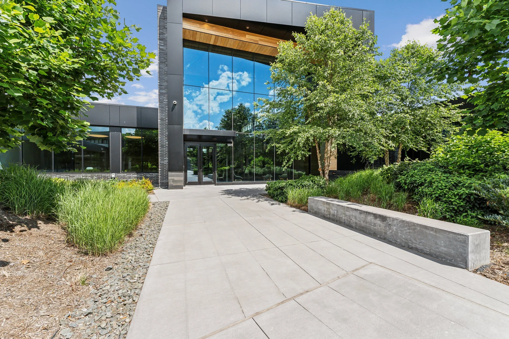 Modern building with glass facade surrounded by greenery and a concrete sidewalk