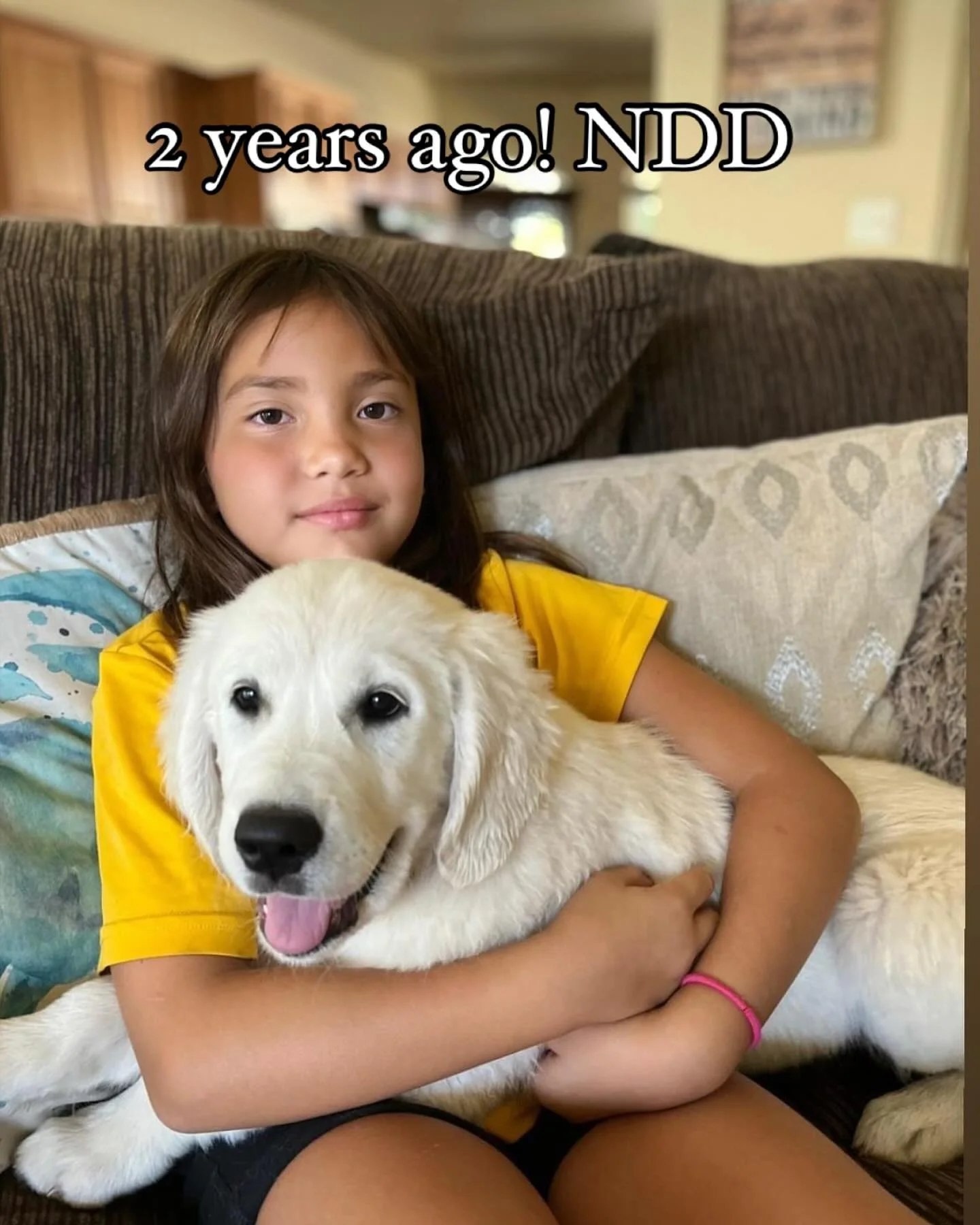 National Dog day! Lucy 2 years ago!