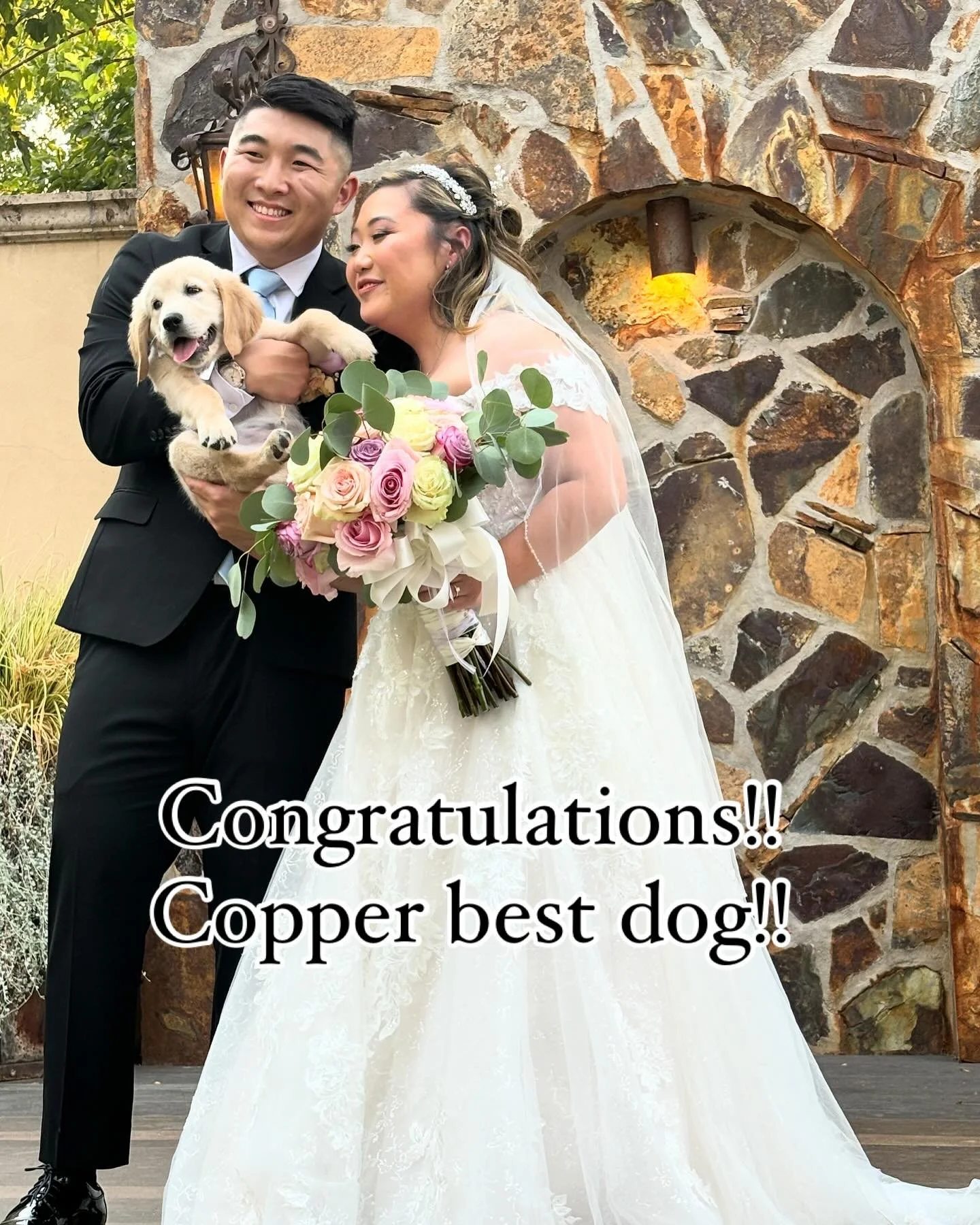 Merritt Goldens happy family!