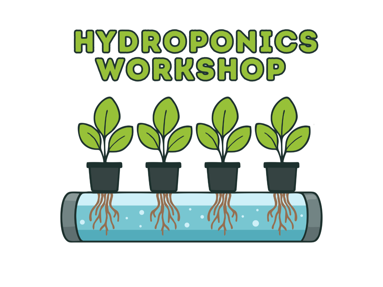 Hydroponics Workshop