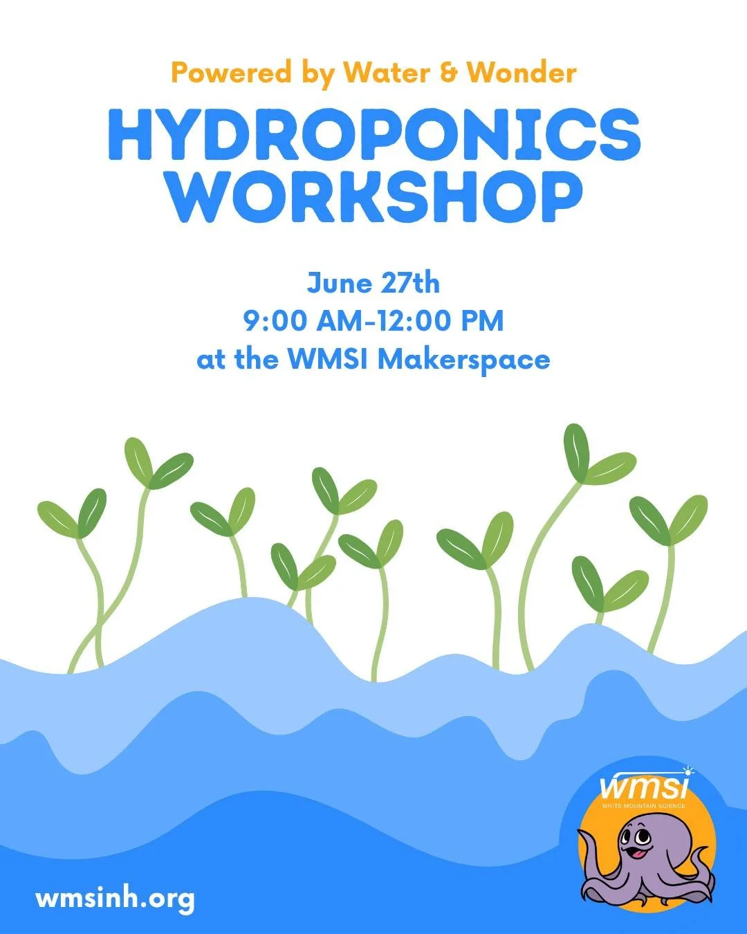 Imagine growing fresh plants year-round in your house - in January - in New Hampshire. 🌿

That's hydroponics, and we're running a workshop next month! Join us June 27th from 9AM to 12PM for a hands-on workshop led by Matt Wolfe where he&rsquo;ll tea