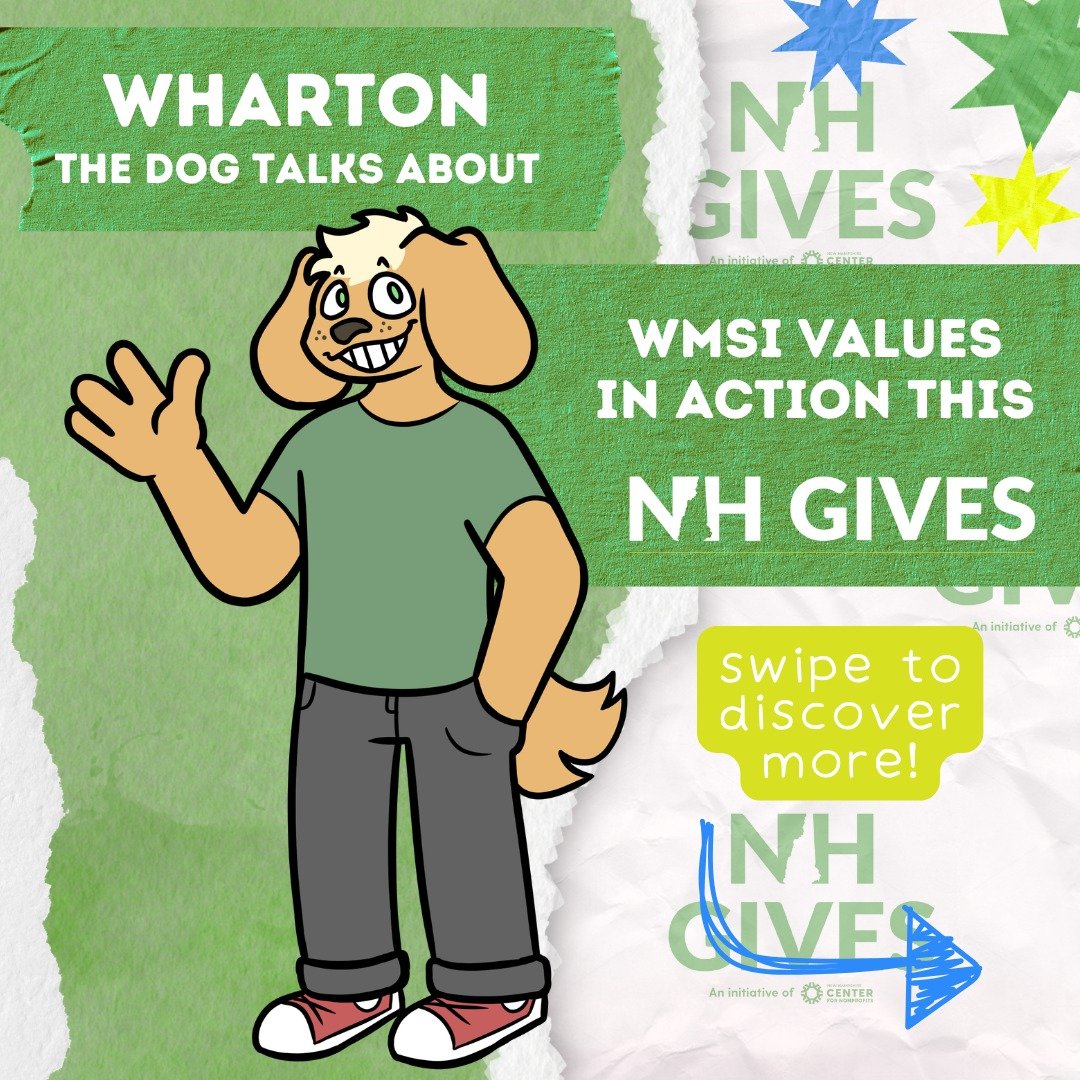 Over the next few days we&rsquo;d like to formally introduce WMSI&rsquo;s cast of characters, and show you how WMSI&rsquo;s core pillars show up in the work we do.

First up is Wharton! He believes that collaboration is key to learning and by working