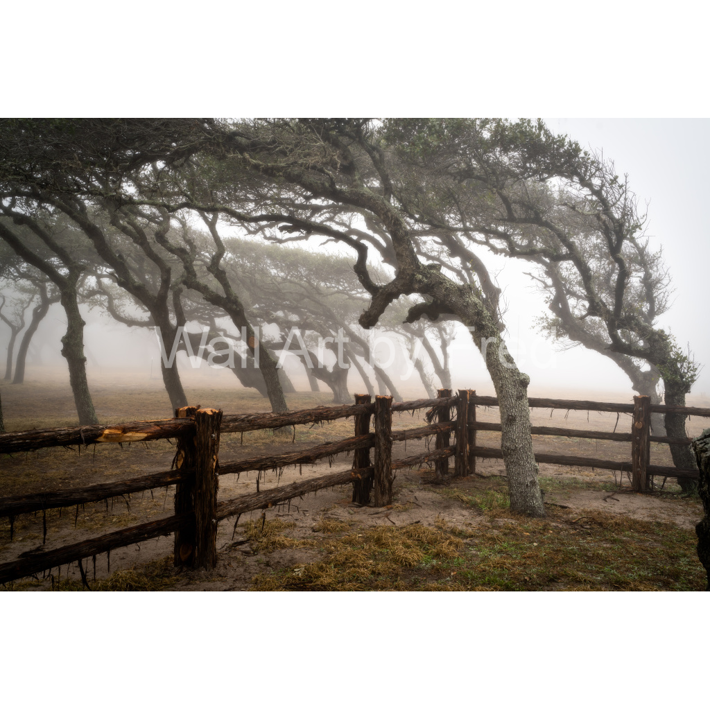 image_original_2c2d88f1c528a815ece607acc44f2ae3.png