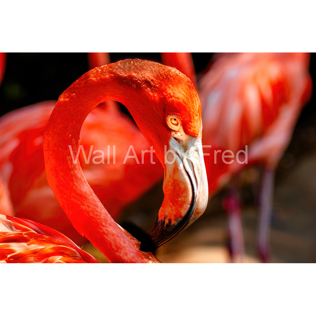 image_original_2c2d88f1c528a815ece607acc44f2ae3.png