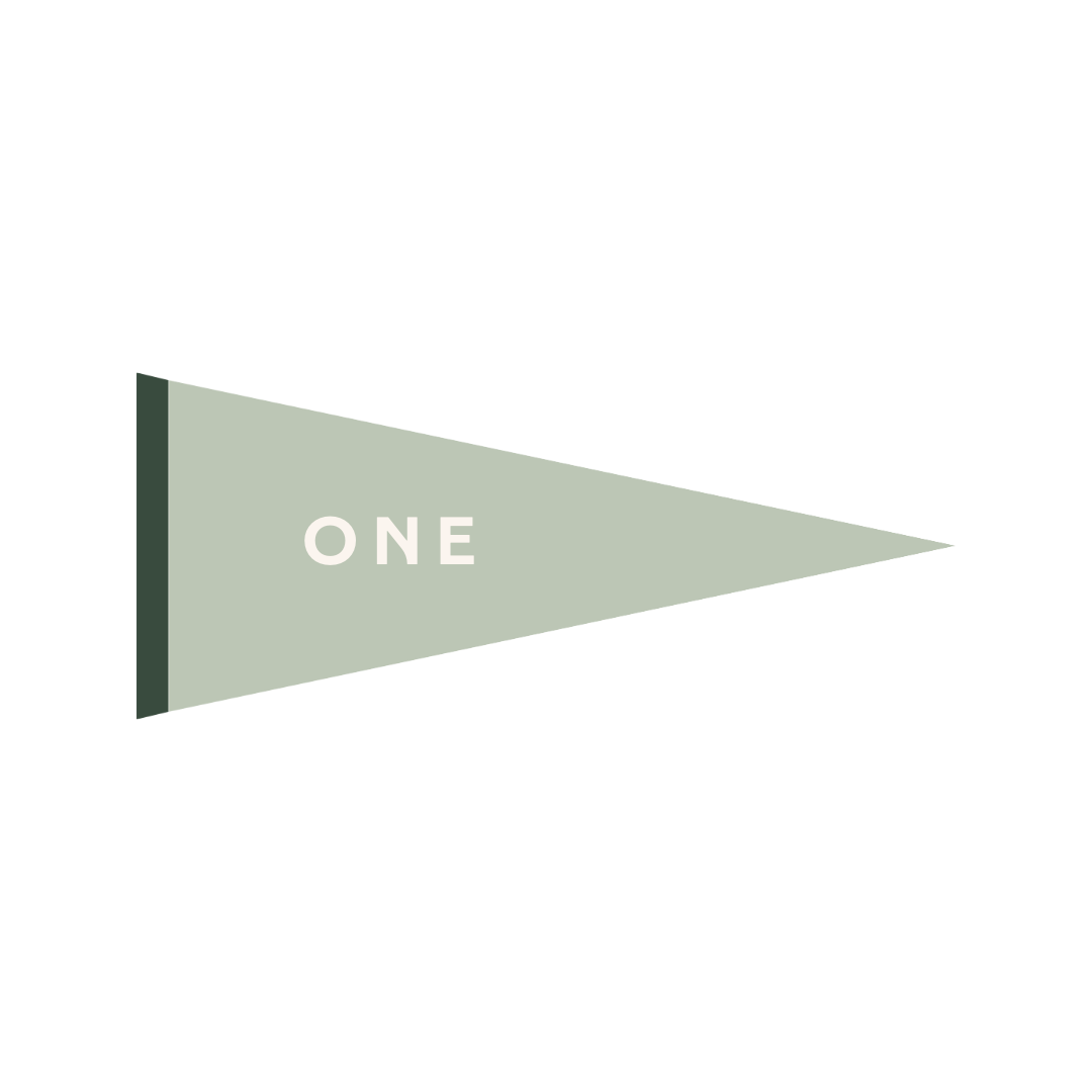 Design with a green flag pointing right, containing the word 'ONE' in white text.