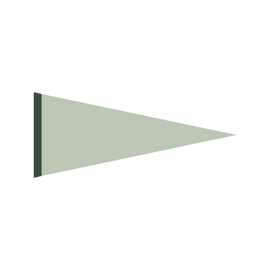 A light green right-pointing triangular flag icon.