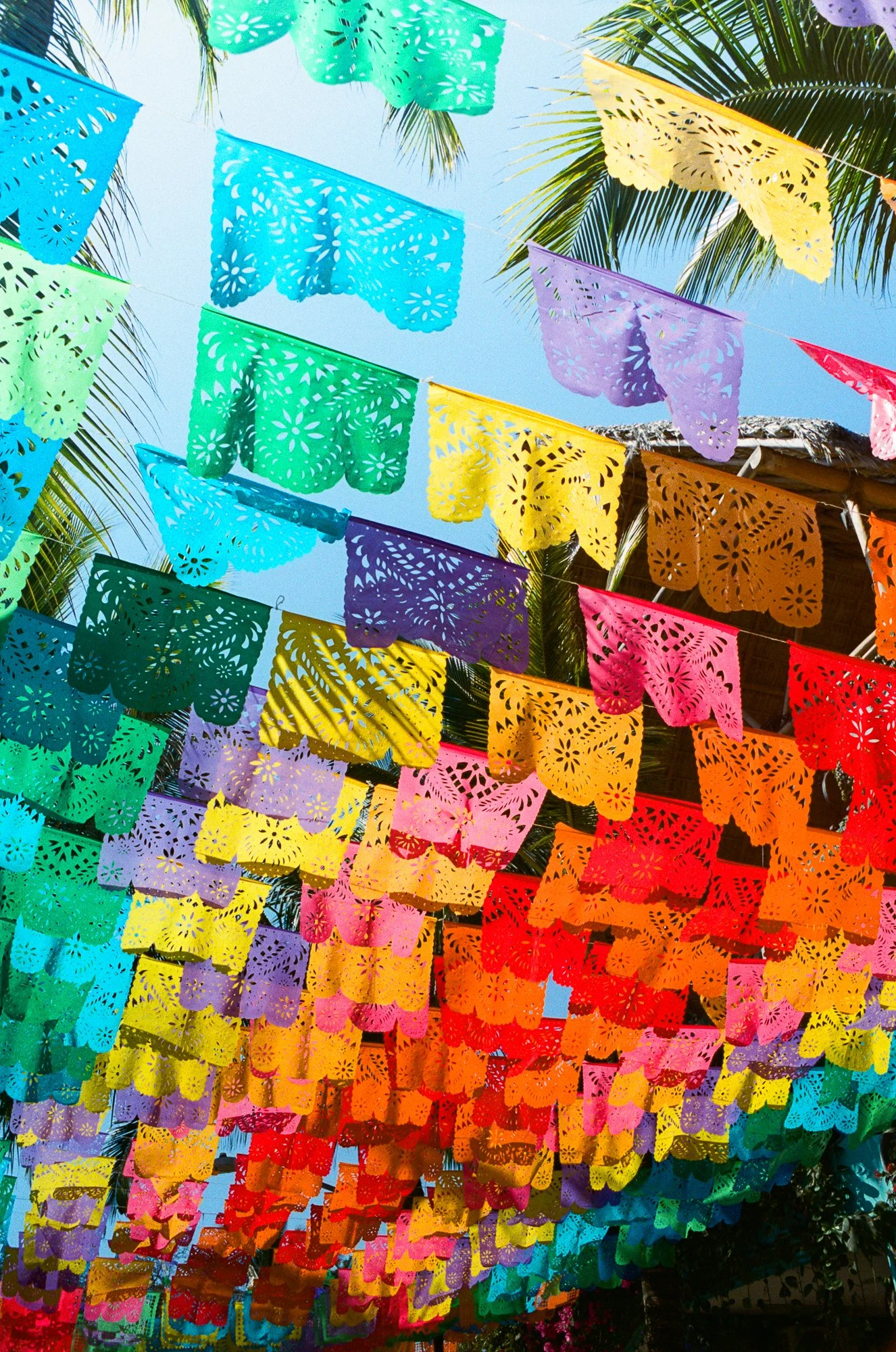 Sayulita2025-22.jpg