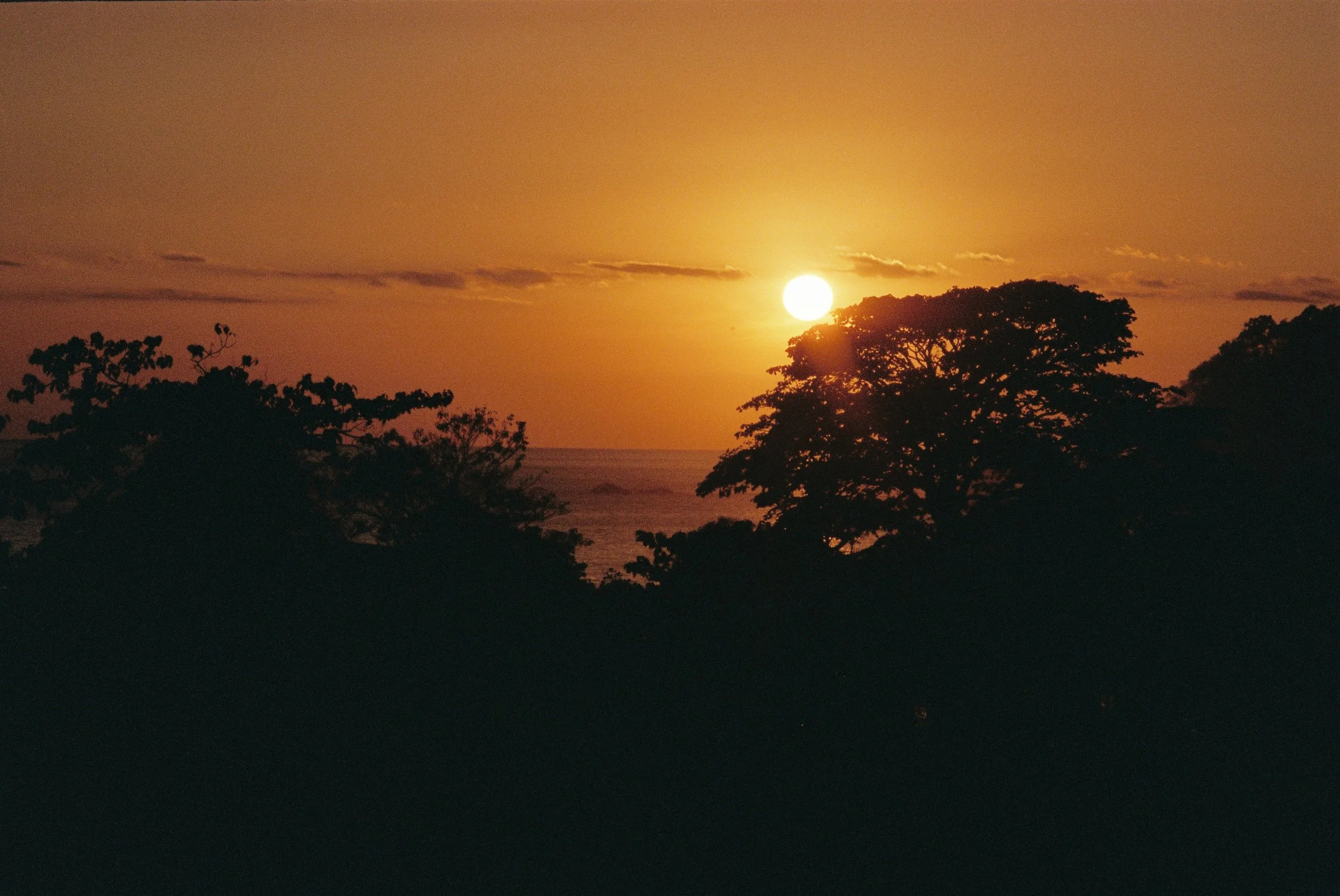 R1-07570-010A.JPG