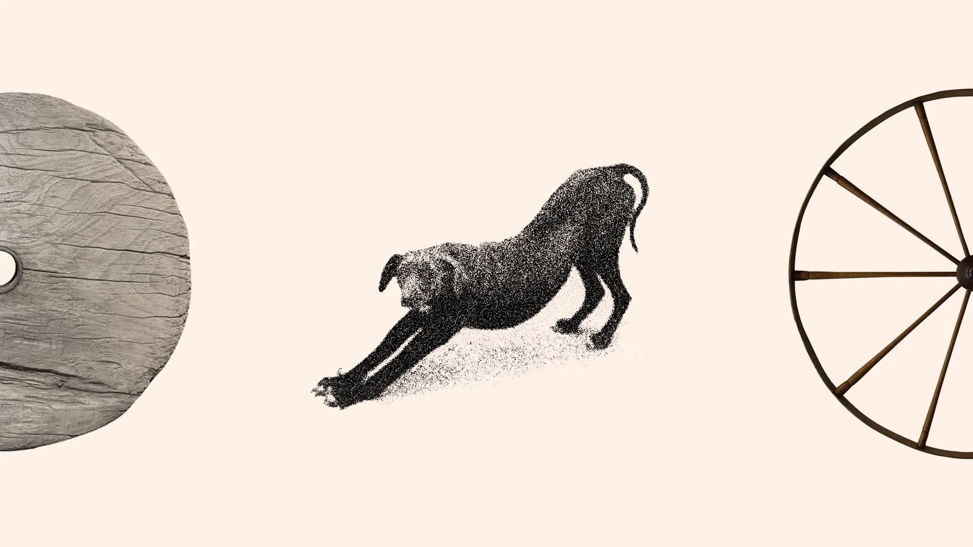 The dogs bark, and the caravan moves on.