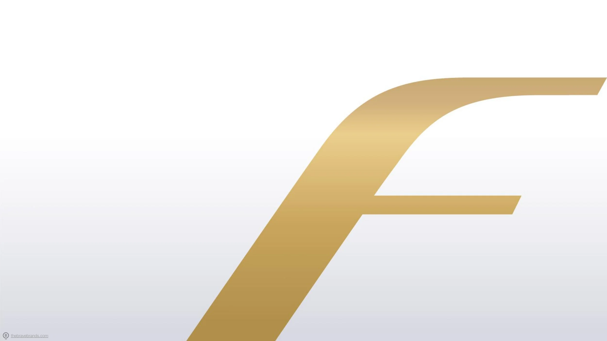 FTA BRAND BOOK _ The Brave Brands®_page-0026.jpg