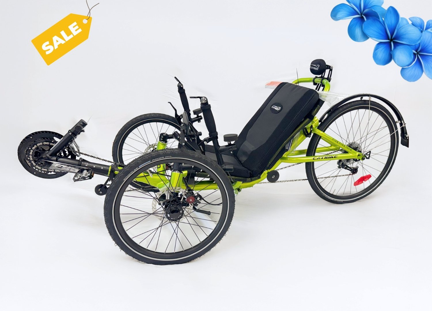 Catrike+559.jpg