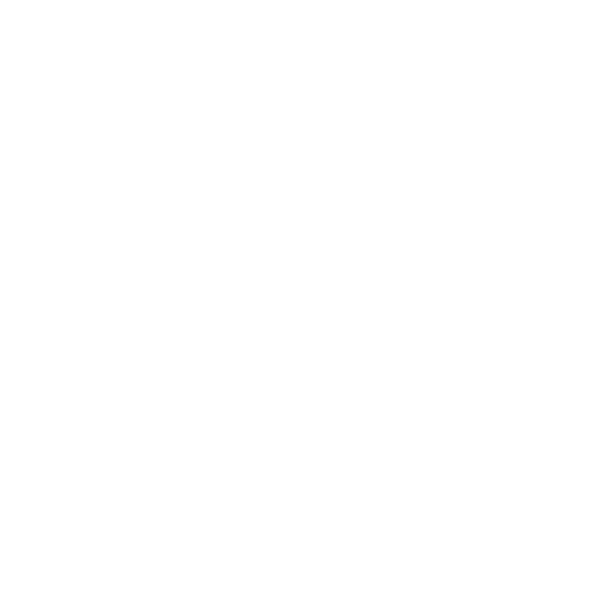 Houndstooth Investment Management