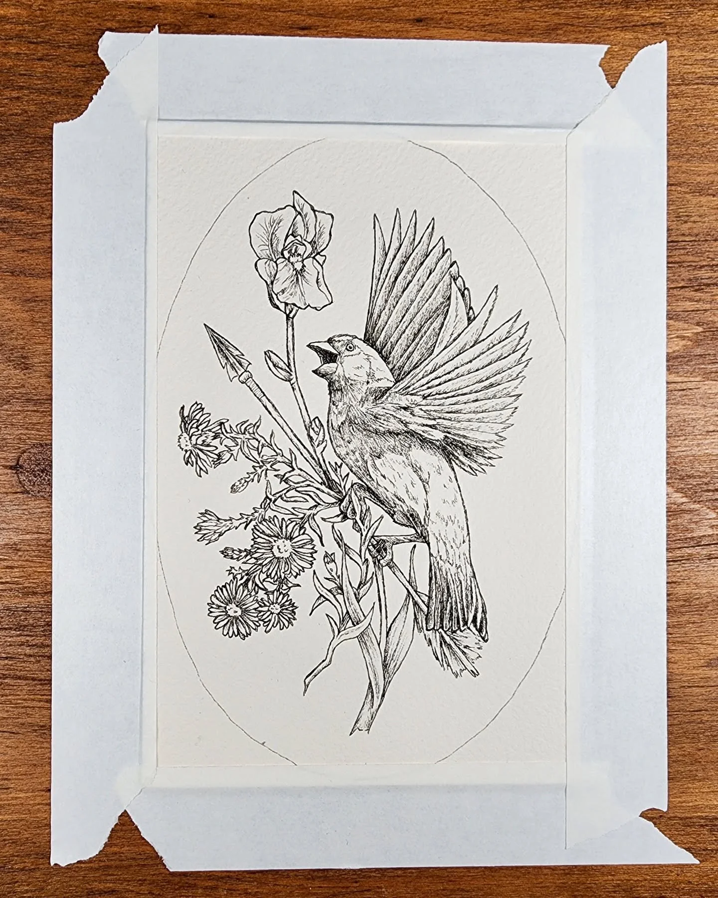 Little sneak peek at the underdrawing for my next piece for @everydayorig ✨️ going live Wednesday!

#everydayoriginal #inkdrawing #inkandwatercolour #botanicalillustration #birddrawing #traditionalartwork