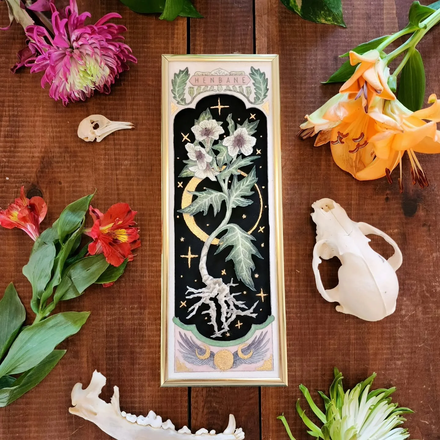 My newest piece, Henbane - The Witches Plant, is officially up over on @everydayorig . 🔗 in my bio ❤️.

#everydayoriginal #witchesherbs #witchaesthetic #witchart #henbane #illustration #originalart #watercolorartist #watercolorartwork #papercutillus