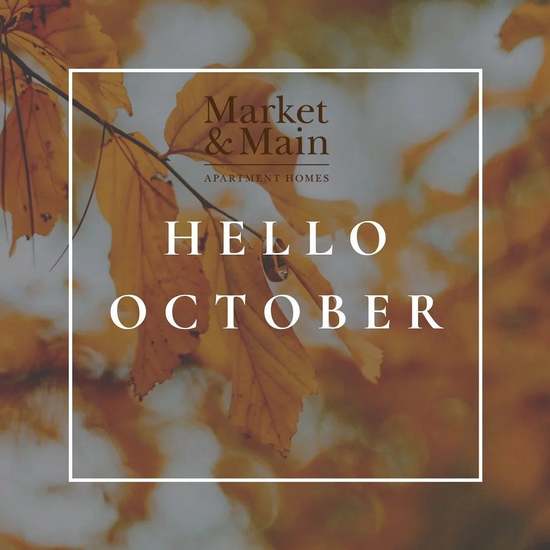 🍂 Hello, October! Here’s to cozy days, crisp nights, and everything fall at Market & Main. #marketandmainliving #newalbanyohio