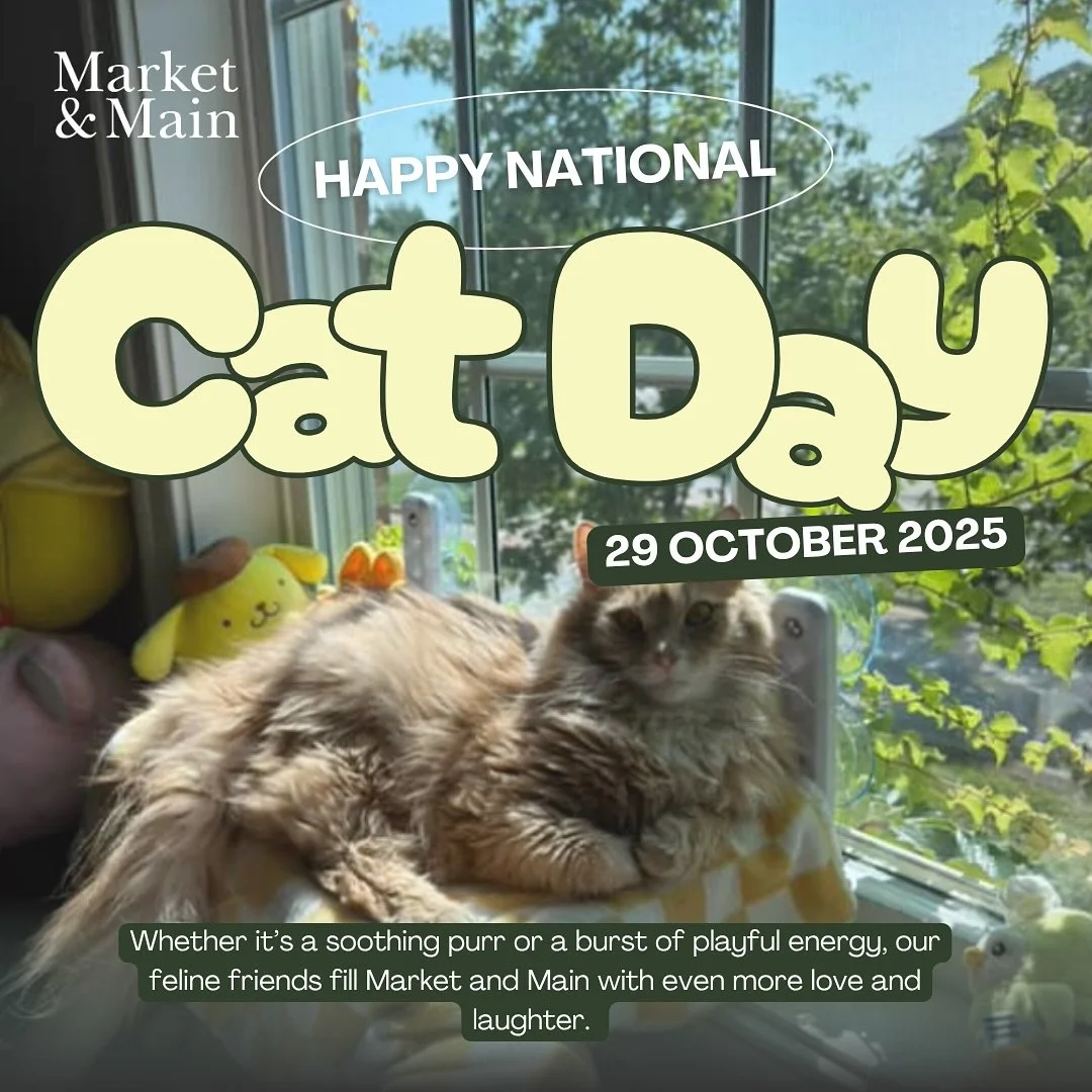 Happy National Cat Day! 🐾  Celebrating all the purr-fect companions who make life a little fluffier and a lot more fun! Featuring one of our very own here at M&M! #marketandmain