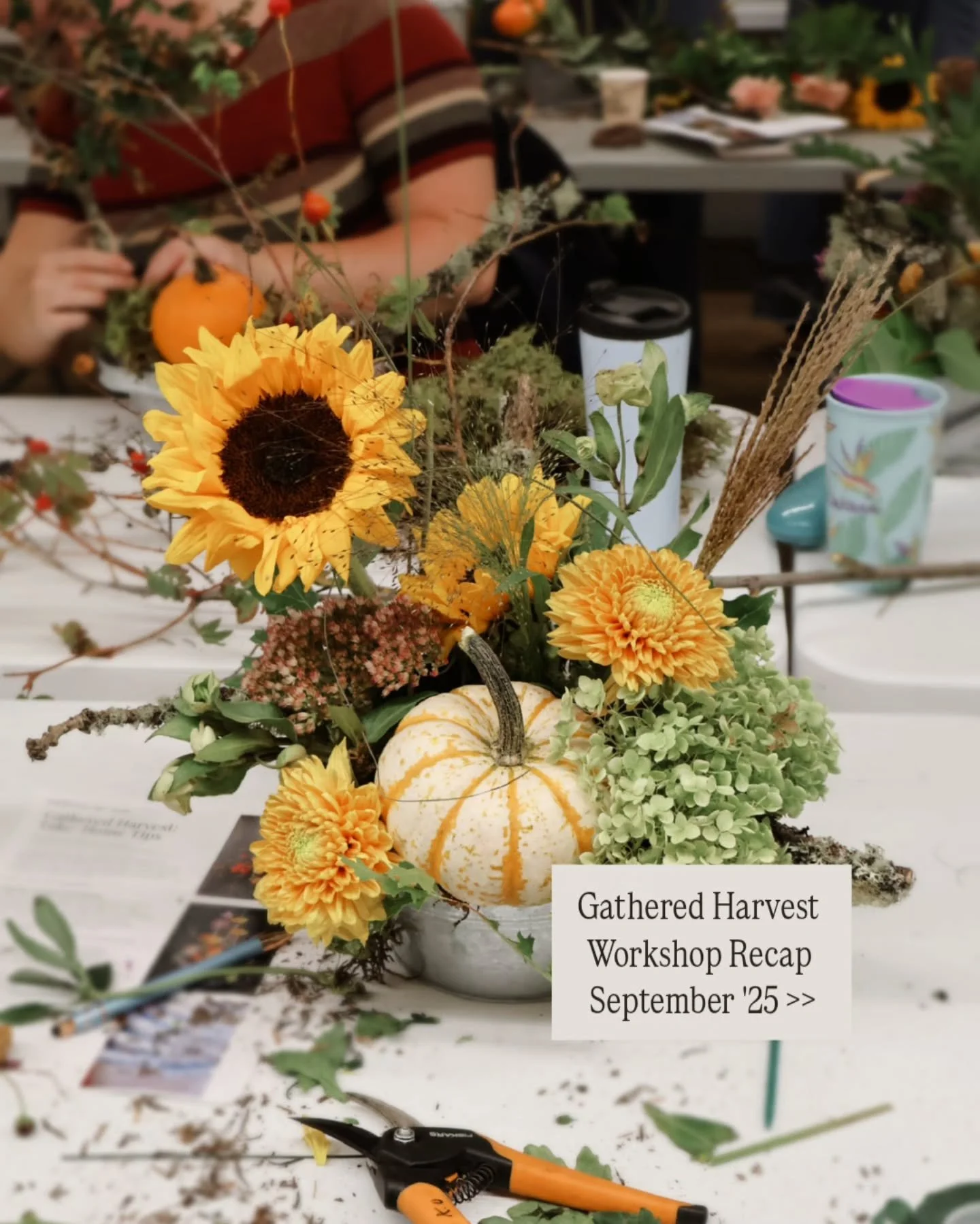 We got creative, made a beautiful mess, and arranged abundance into table centrepieces. Between laughter and heavy sunflower stems, we wandered through a bit of the history and poetry of floral design. We explored the elements that make us pause a li