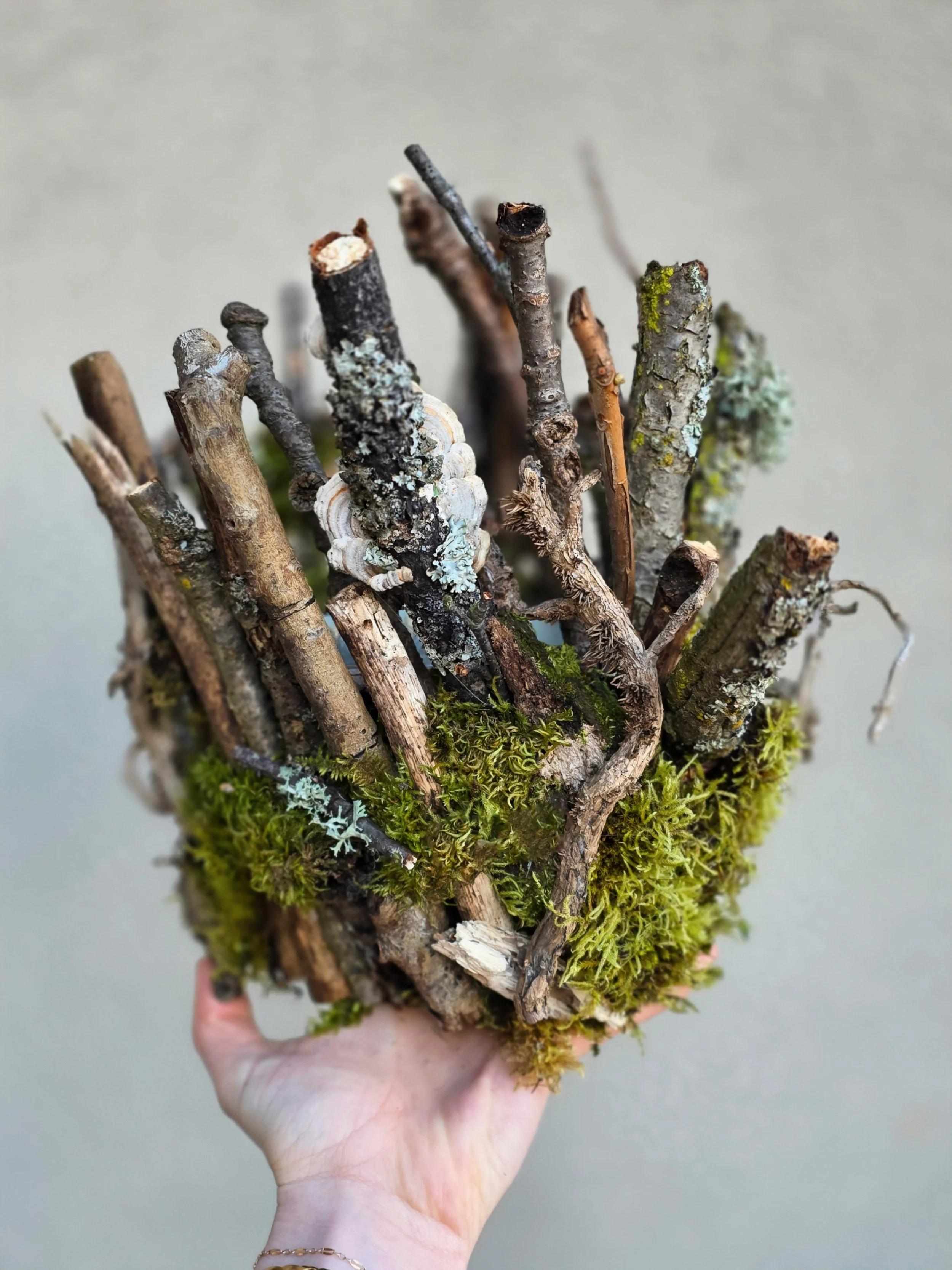 1000049774_da84eb39581fd01001ae27ce09e1afce-4_2_2026, 8_57_30 PM.jpg