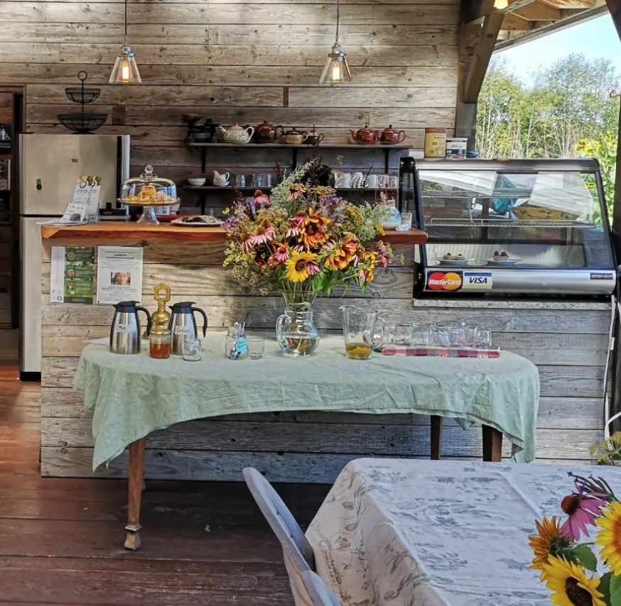 Screen-Shot-2024-03-05-at-3.15.03-PM (1).png