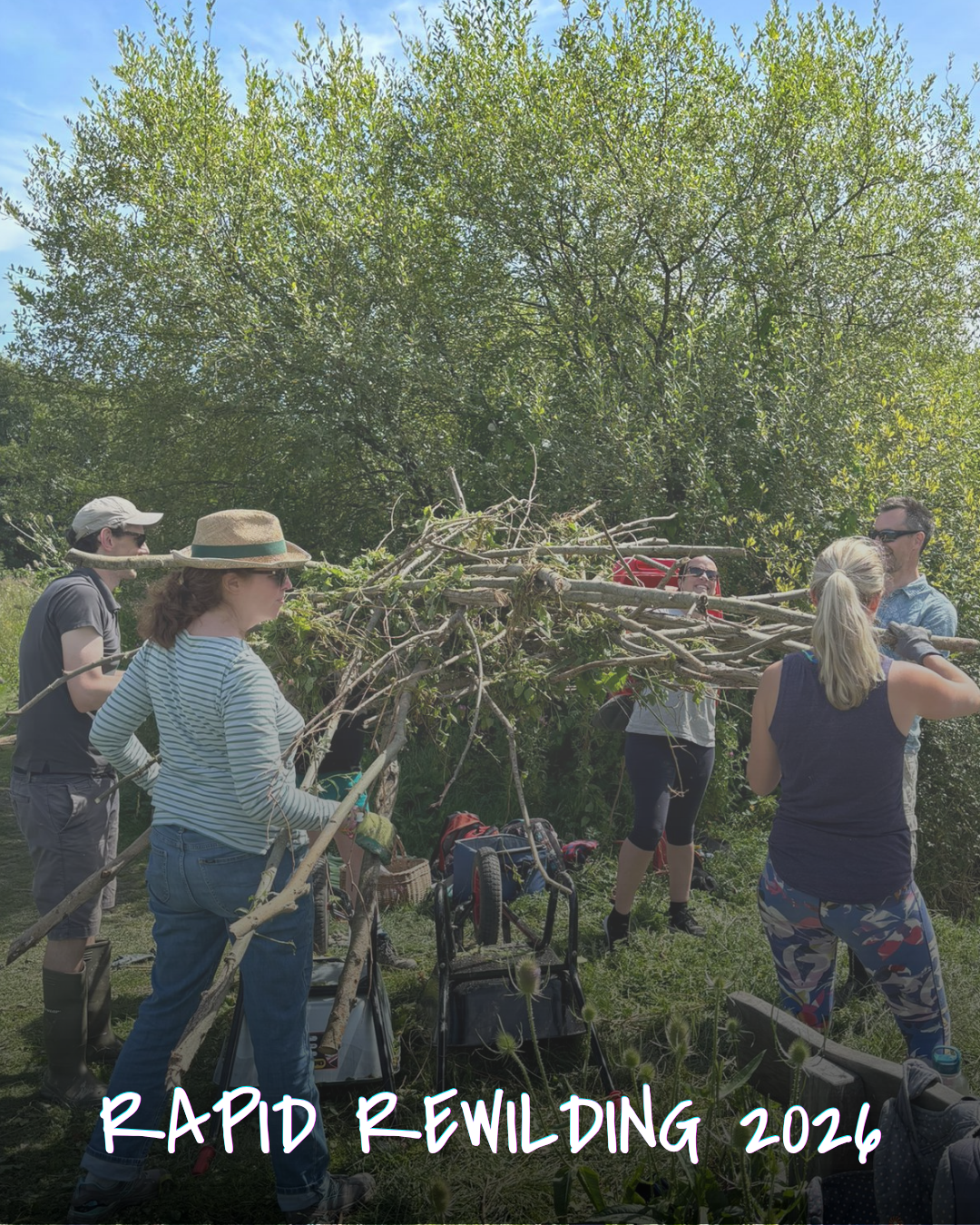 Rapid Rewilding 2026 - Do you have a Space that Could Do More for Nature?
